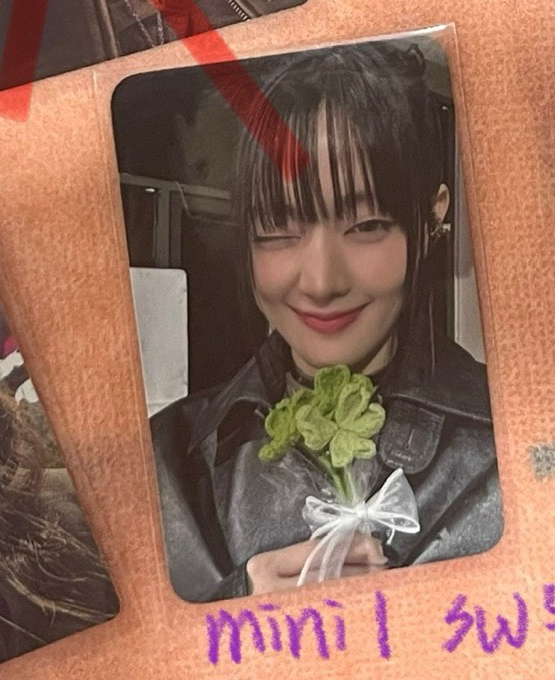 idle-minnie solo1 sw