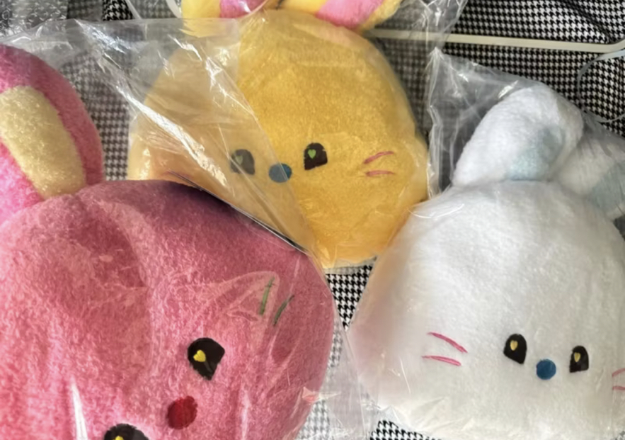 全新未拆 newjeans linefriends 聯名抱枕 Hanni minji haerin 