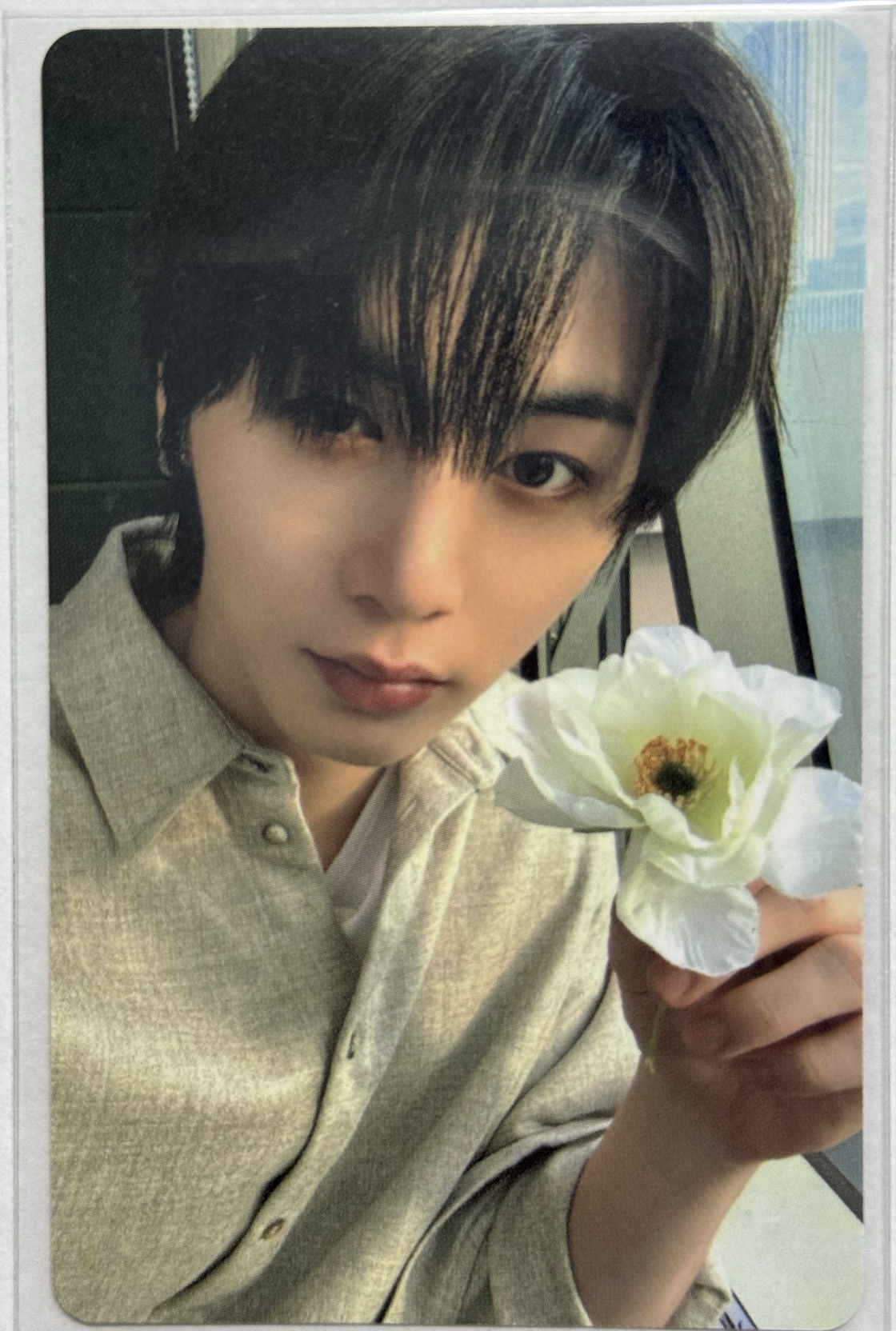 The Action WVS特典 4