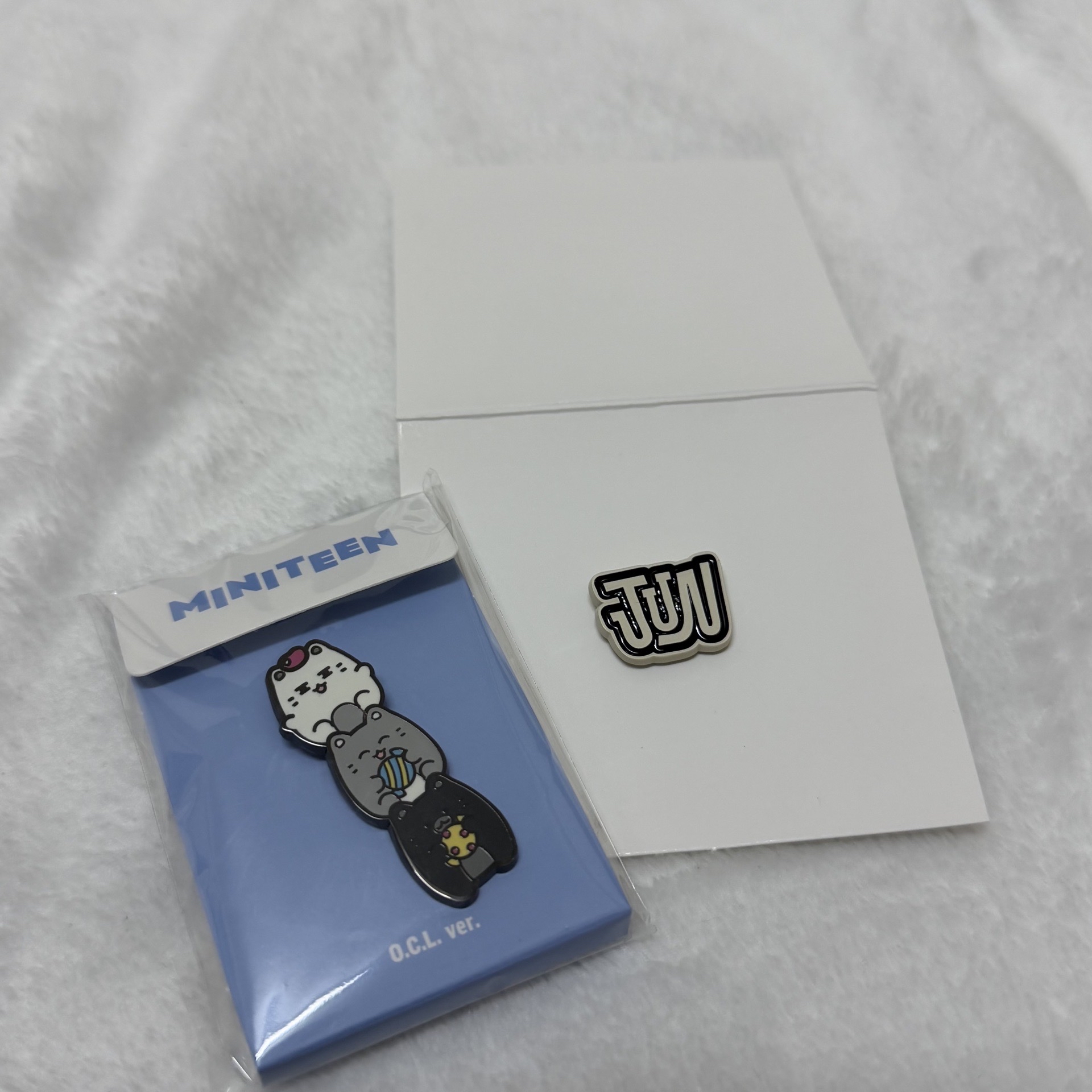 SEVENTEEN 俊別針組