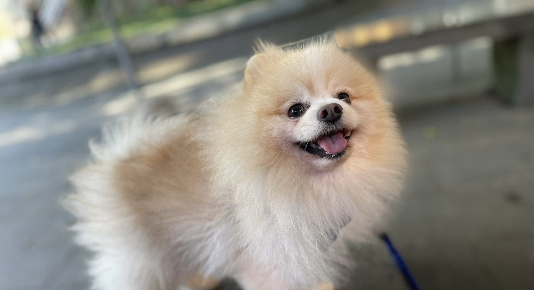 粒粒的沙士糖🥤