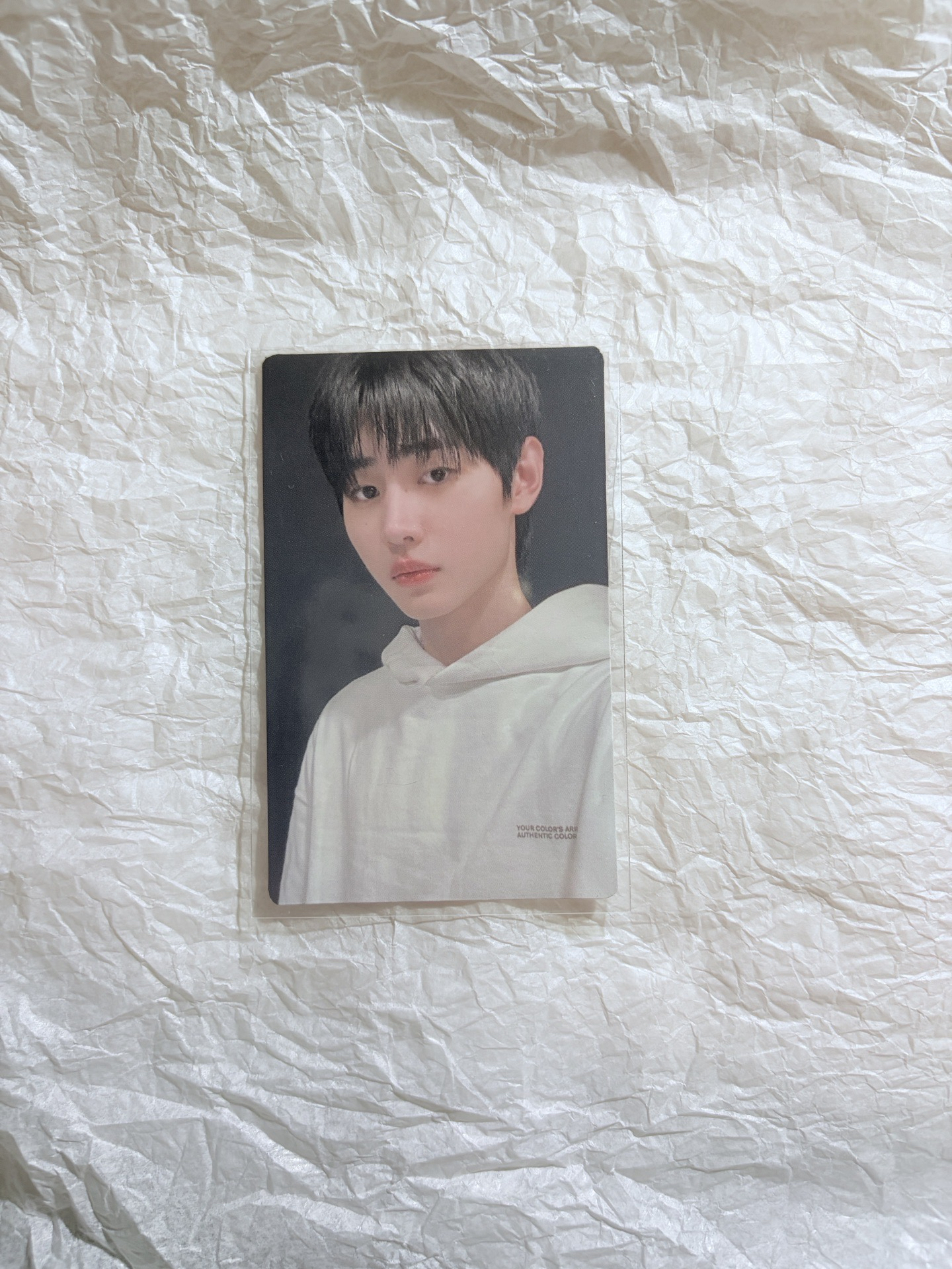 成訓手燈卡 23咕咕卡