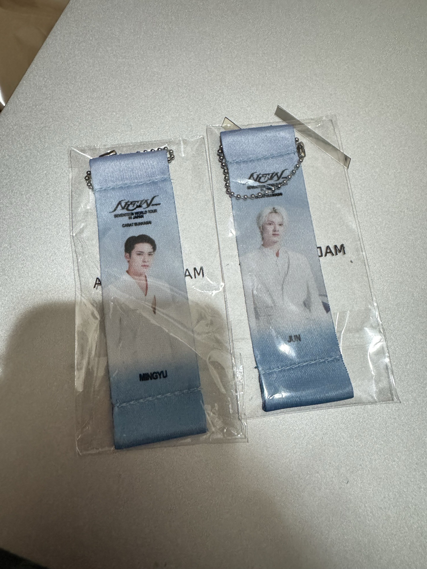 NEW_ 日巡旗幟扭蛋 奎俊