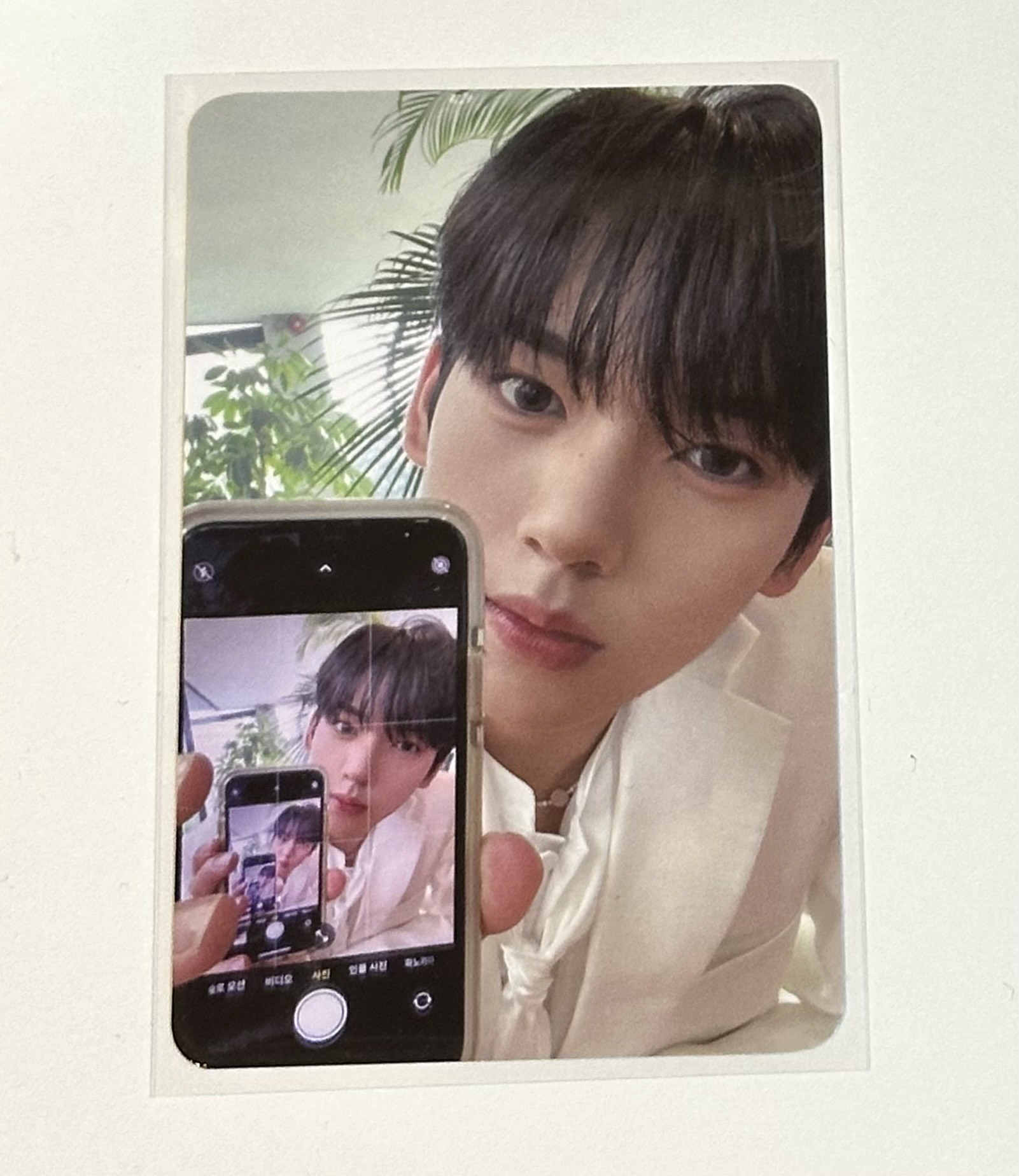 fancon隨機卡包卡 對鏡辰