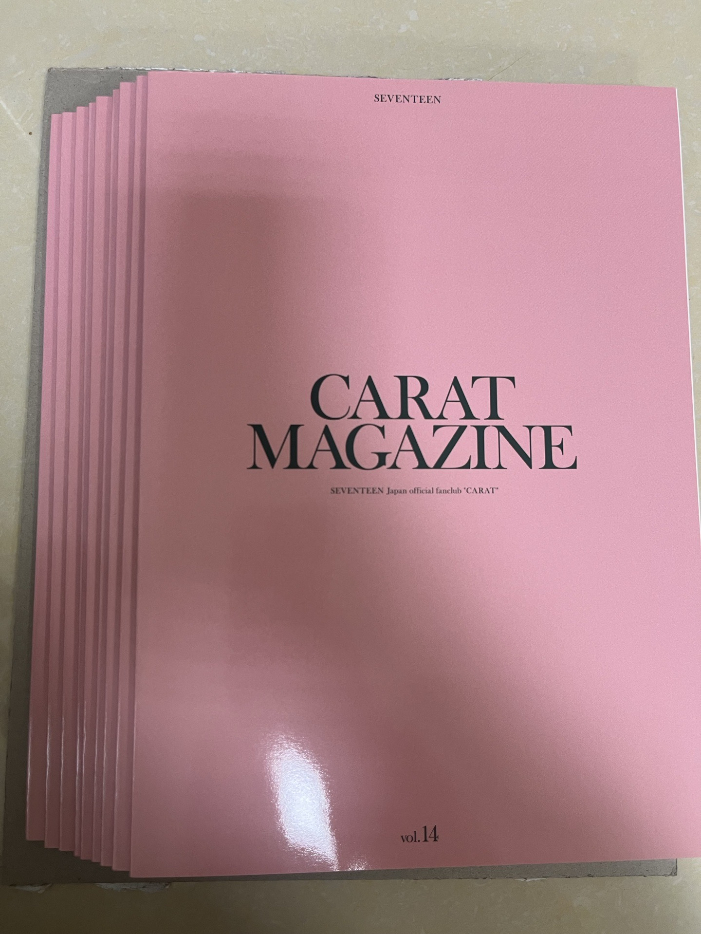 SVT 日本FC 14期會刊