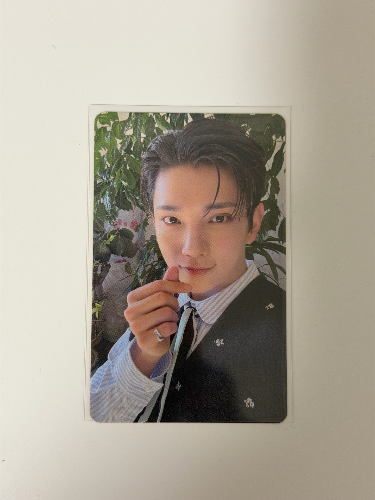 迷十二wvs大阪場限 洪知秀