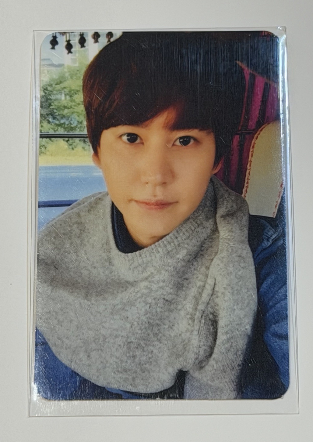 圭 迷你二 年青小狗