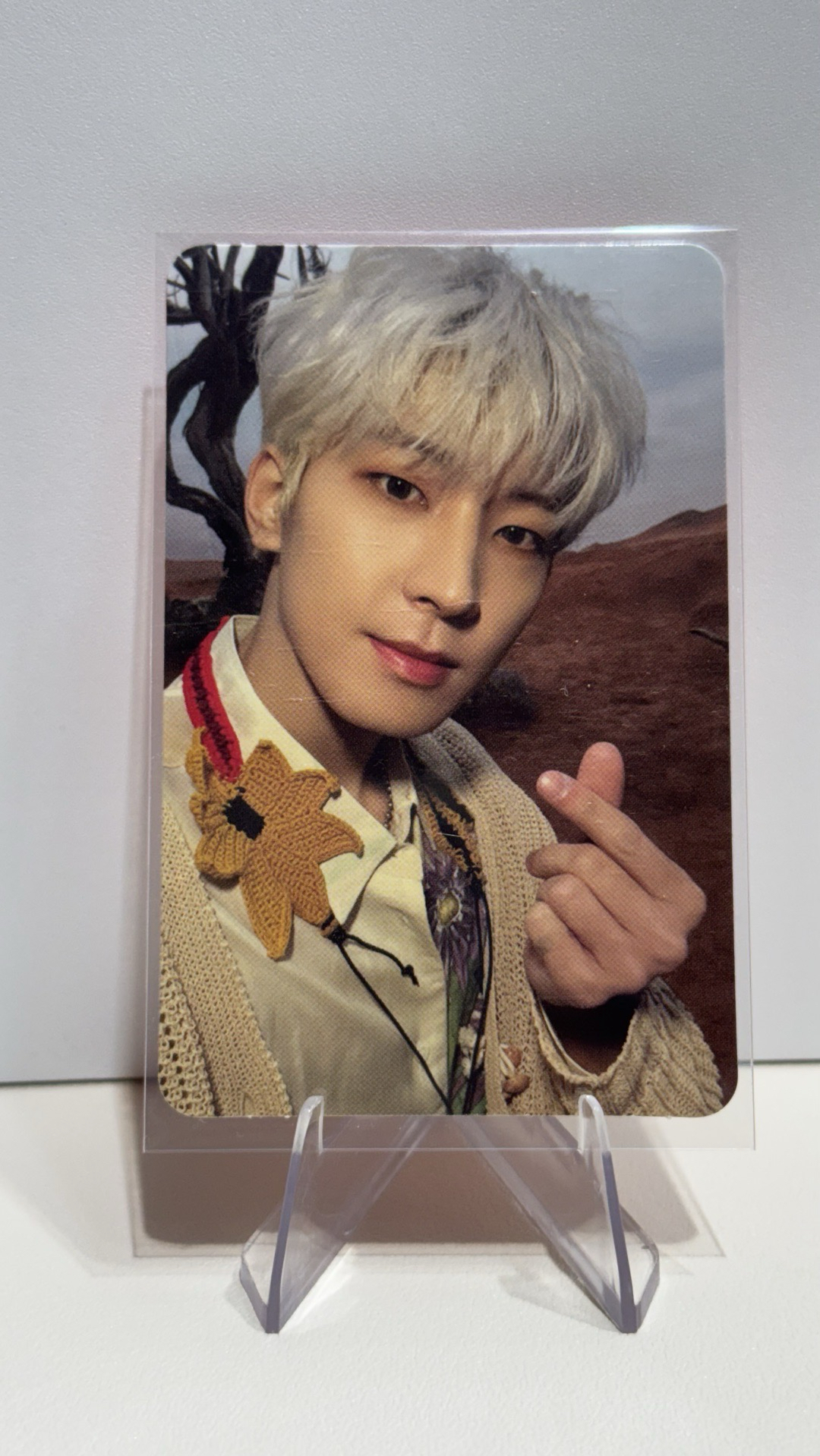 ❤️圓 正四專卡 比心圓