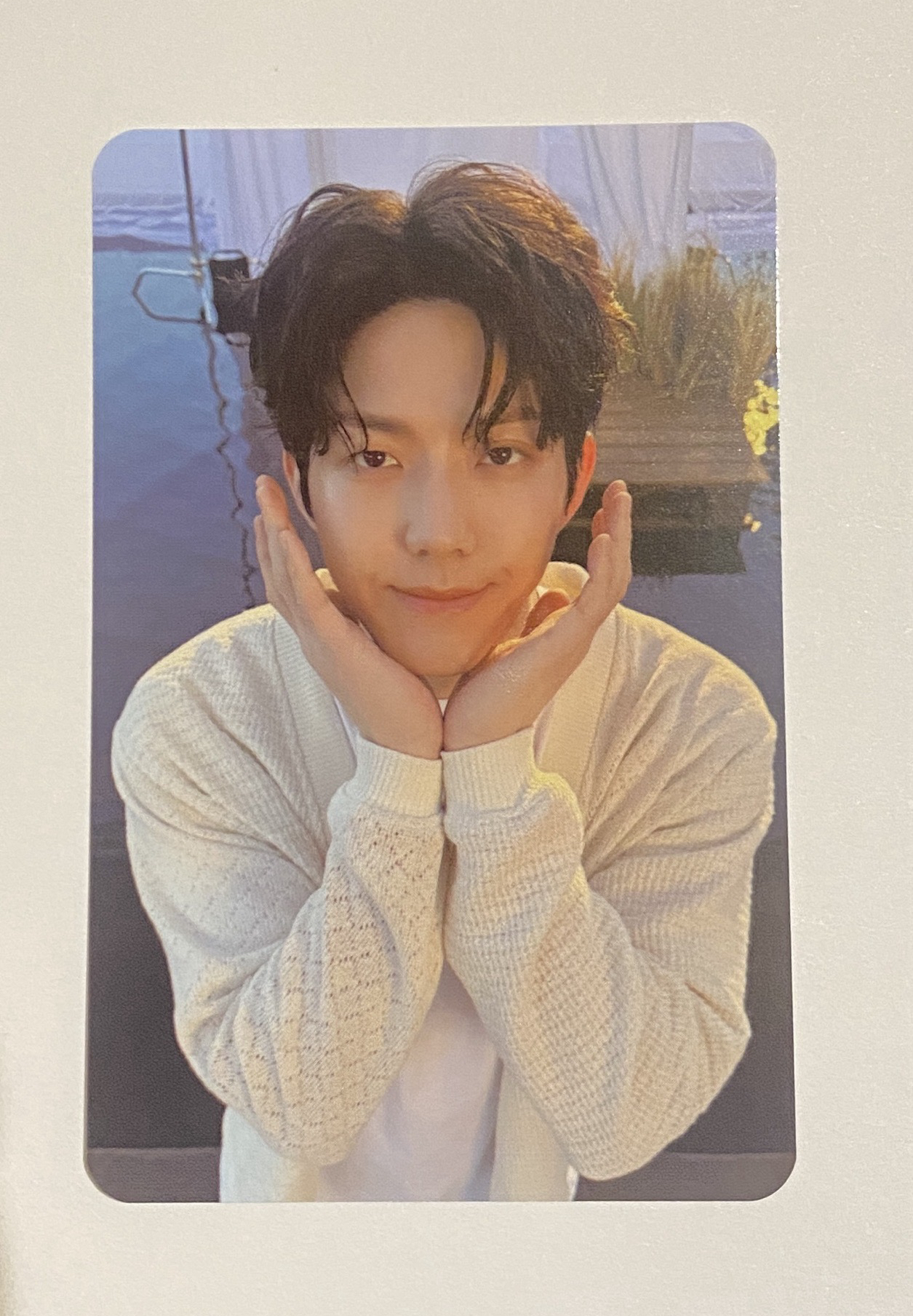 🐶飯咪照片裝飾組🍀小卡