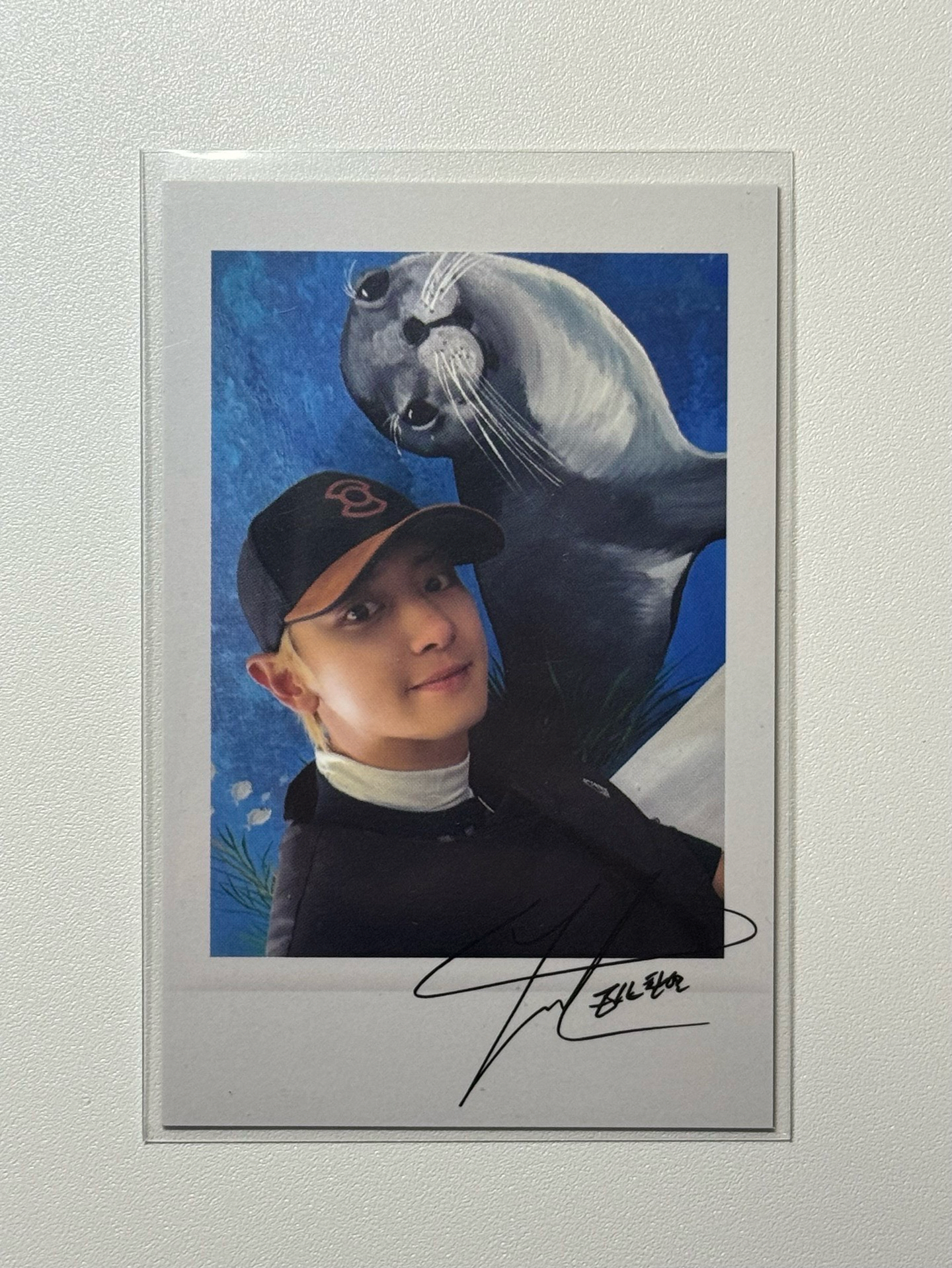 燦烈solo1拍立得（星河）