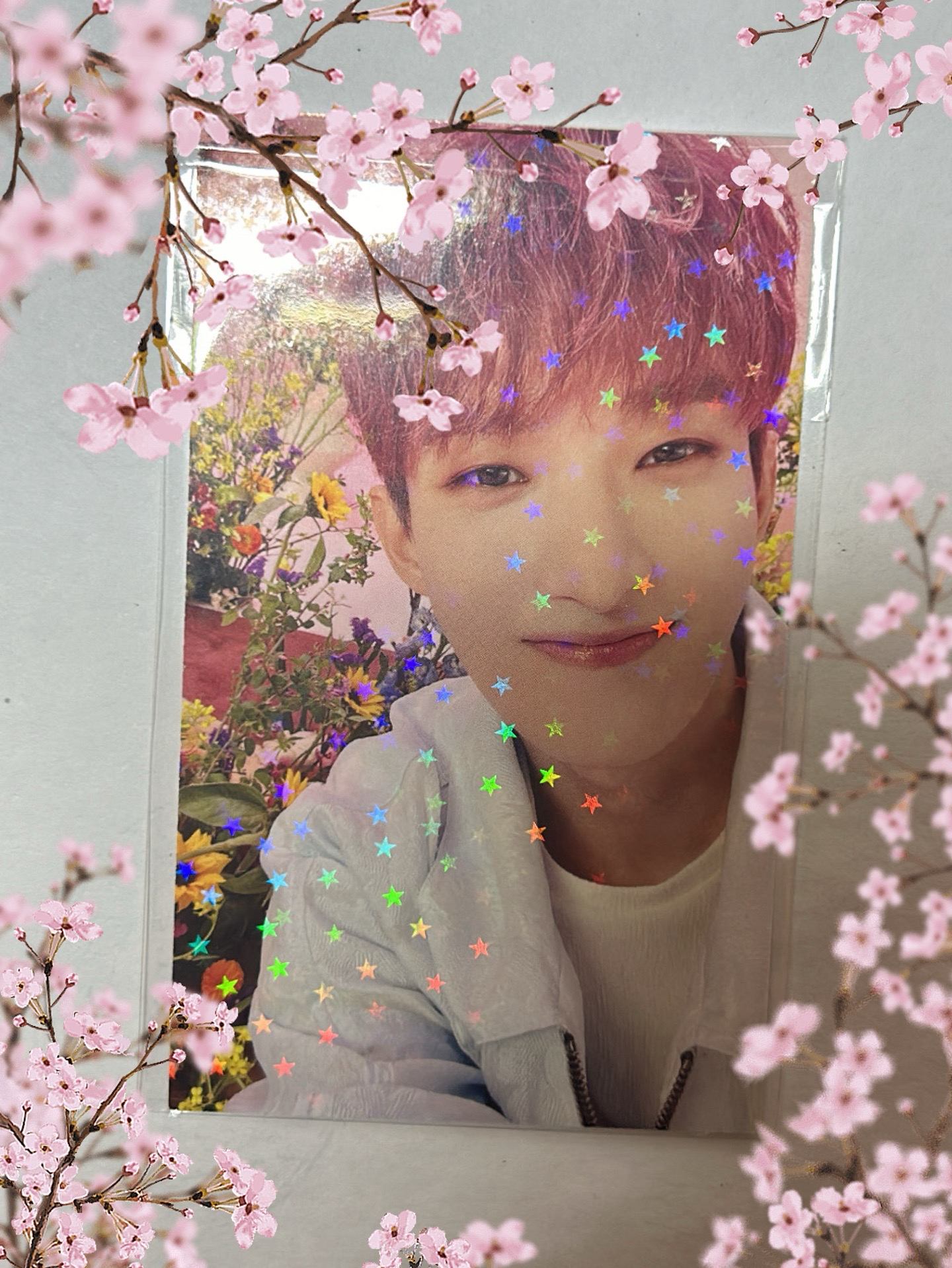 🌸春天的戀愛證明🌸 DK ALWAYS YOURS 日專 環球 特典卡 