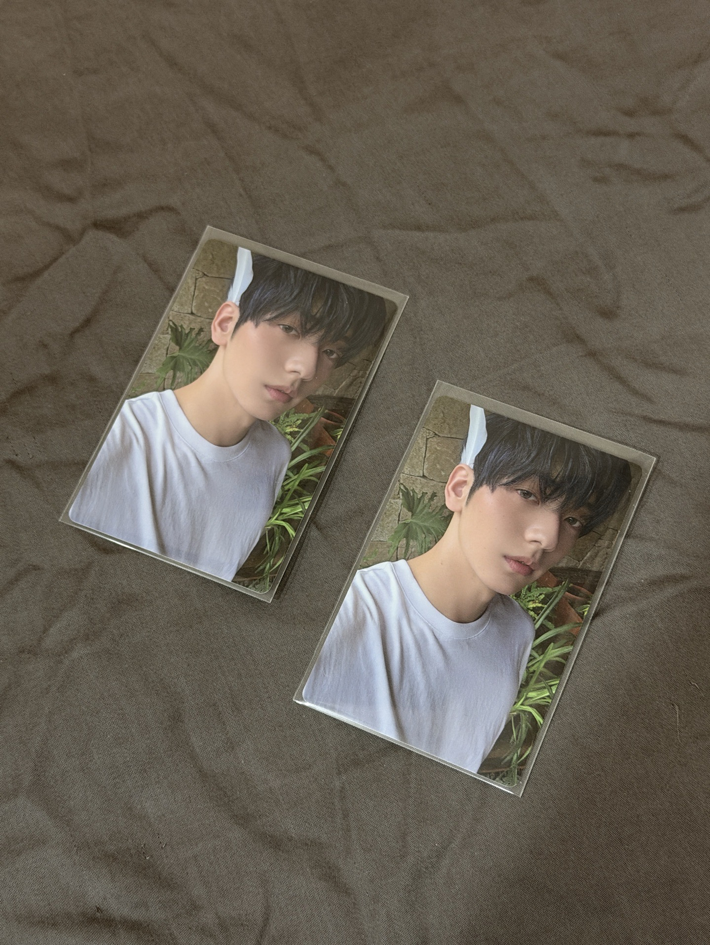 崔秀彬 迷七 單封專卡