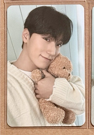 10.0泰迪熊-傘($200)