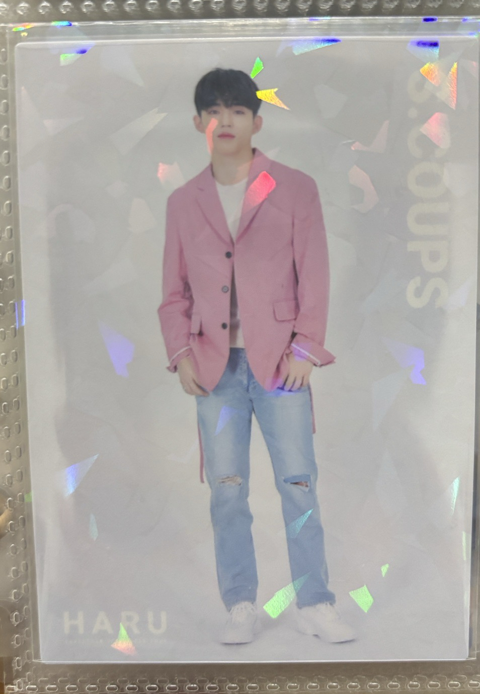 崔哲哲（圖一圖二不拆售）