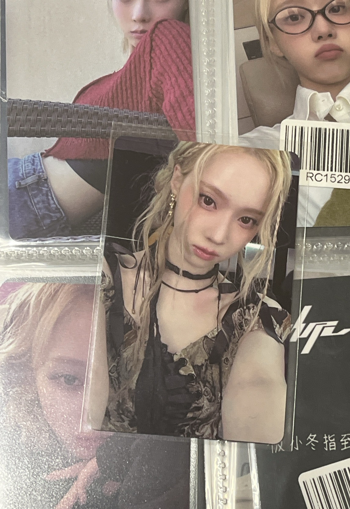 KMS 預售（中背）