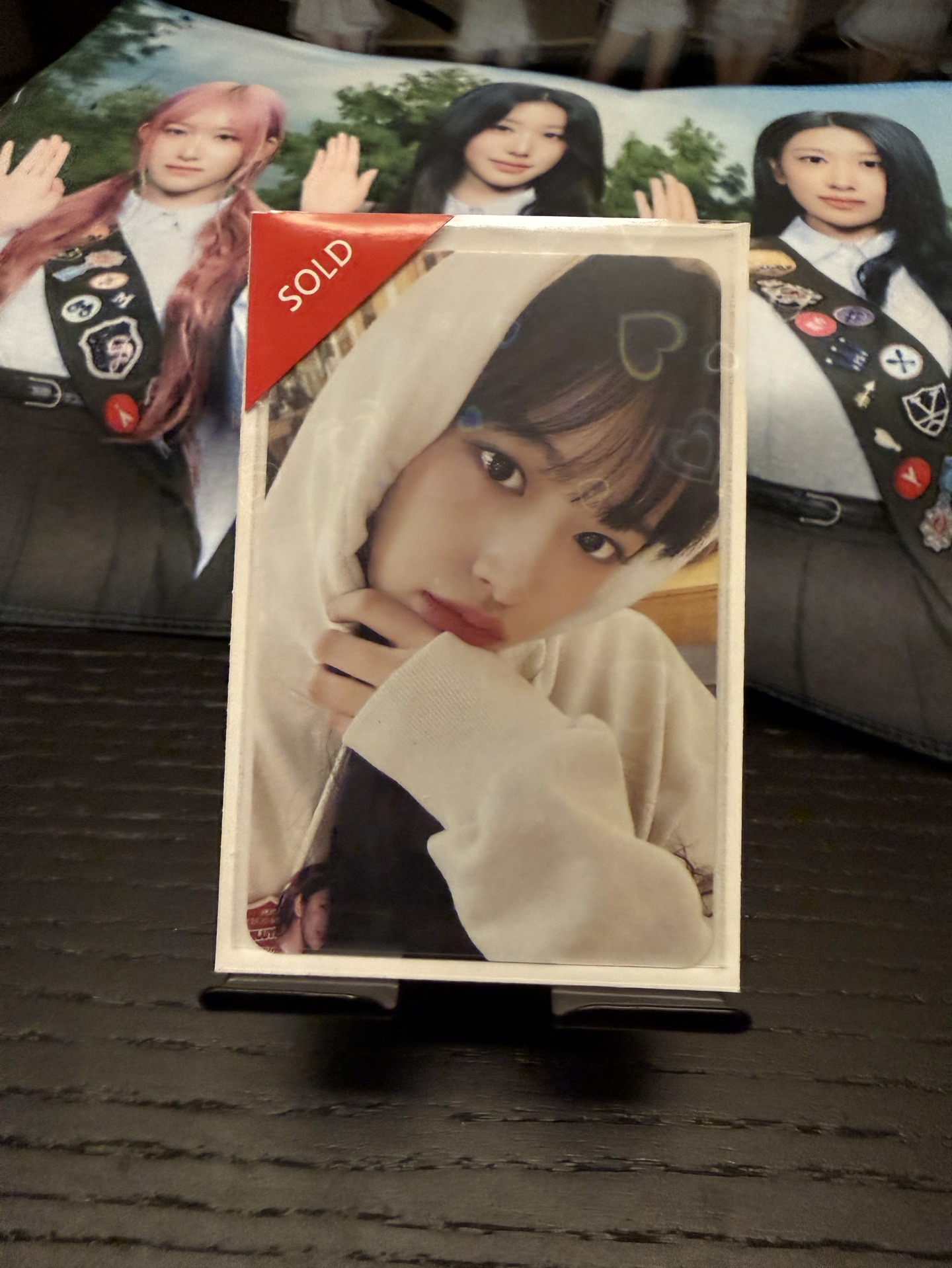 23’FC 演唱會 DVD / CD 卡 DVD ver.安