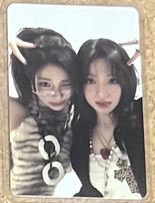 明信片專卡 露賢