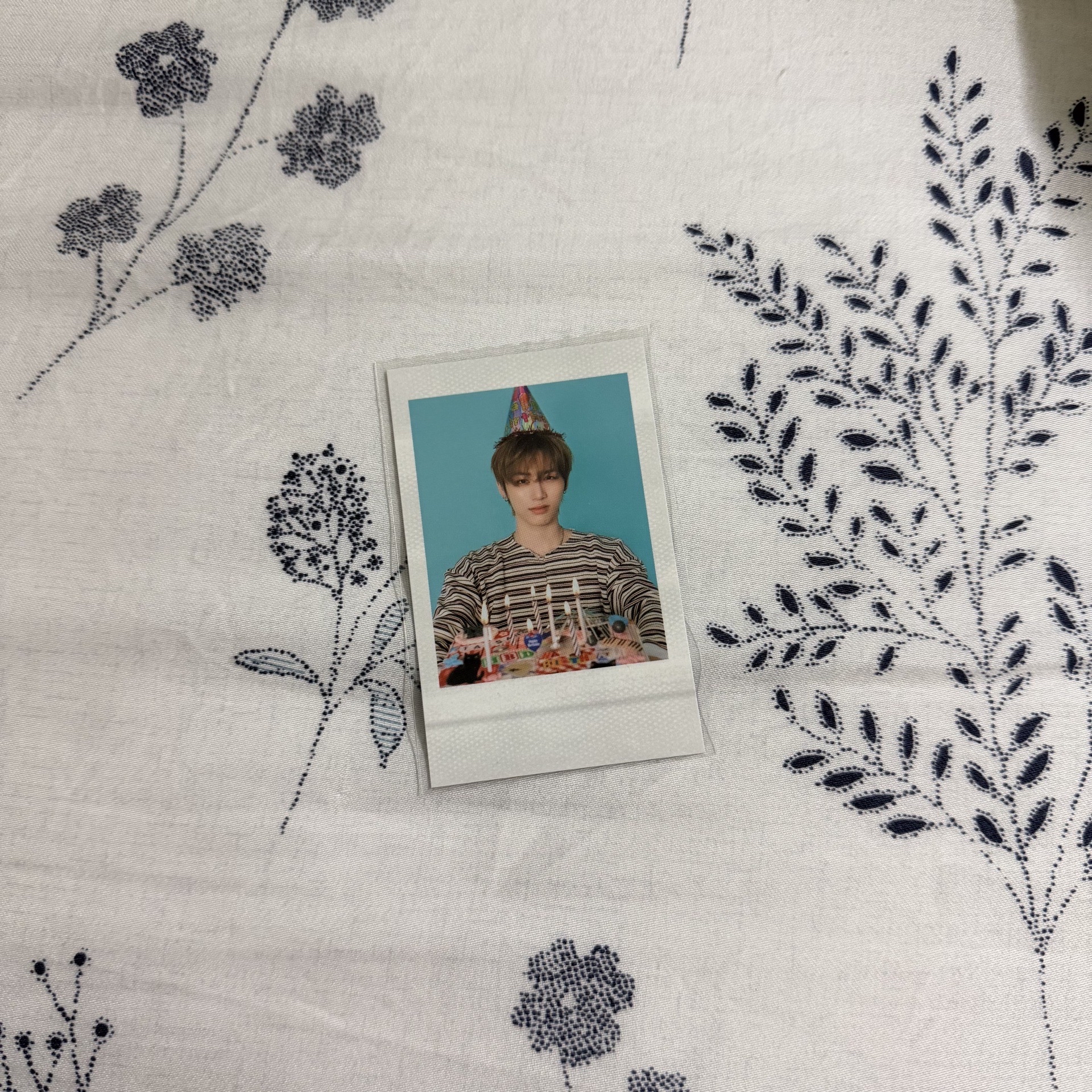 🔴25生日 wvs 周邊卡 拍立得 磁吸卡盒