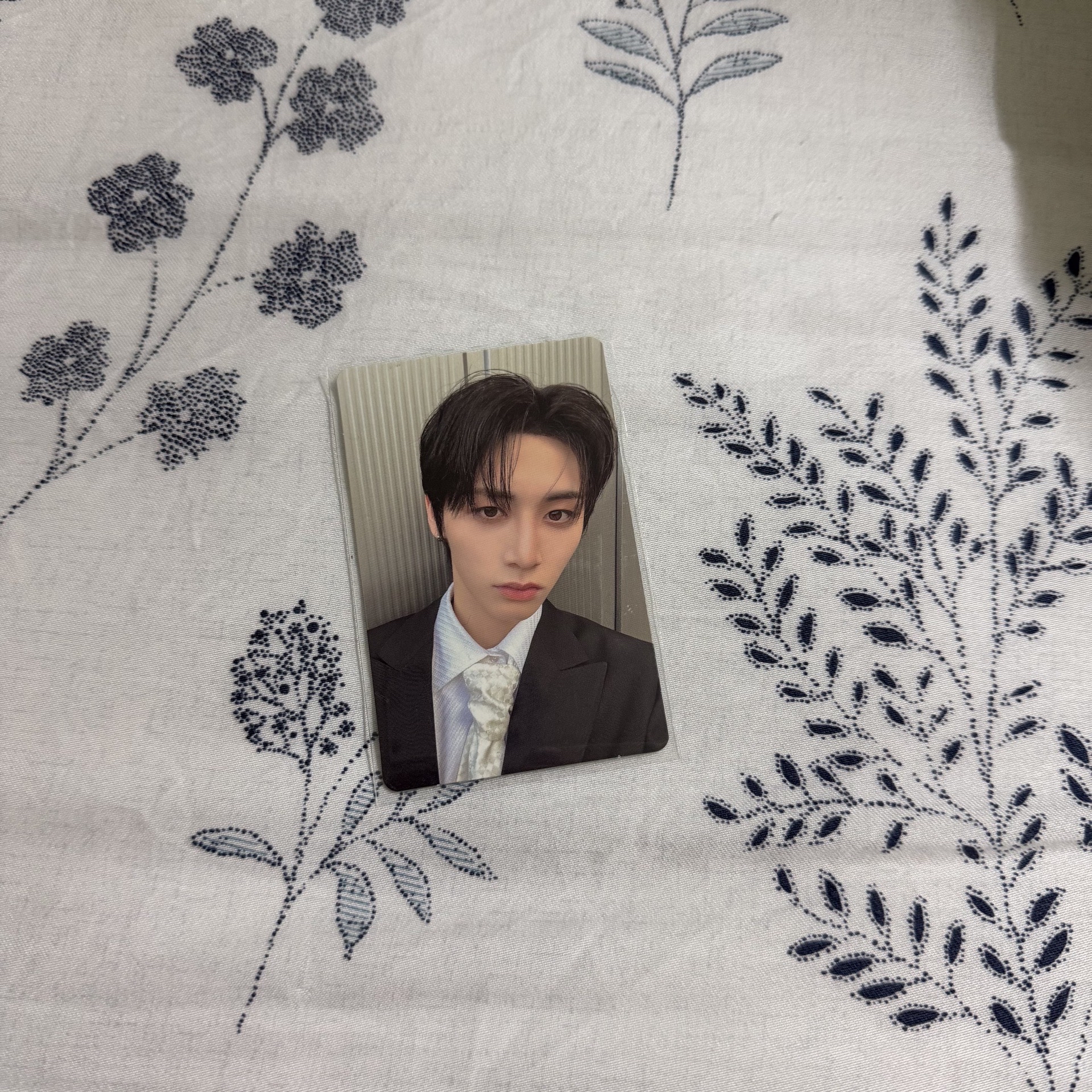 WHY.. 專輯卡 wvs ver.專卡