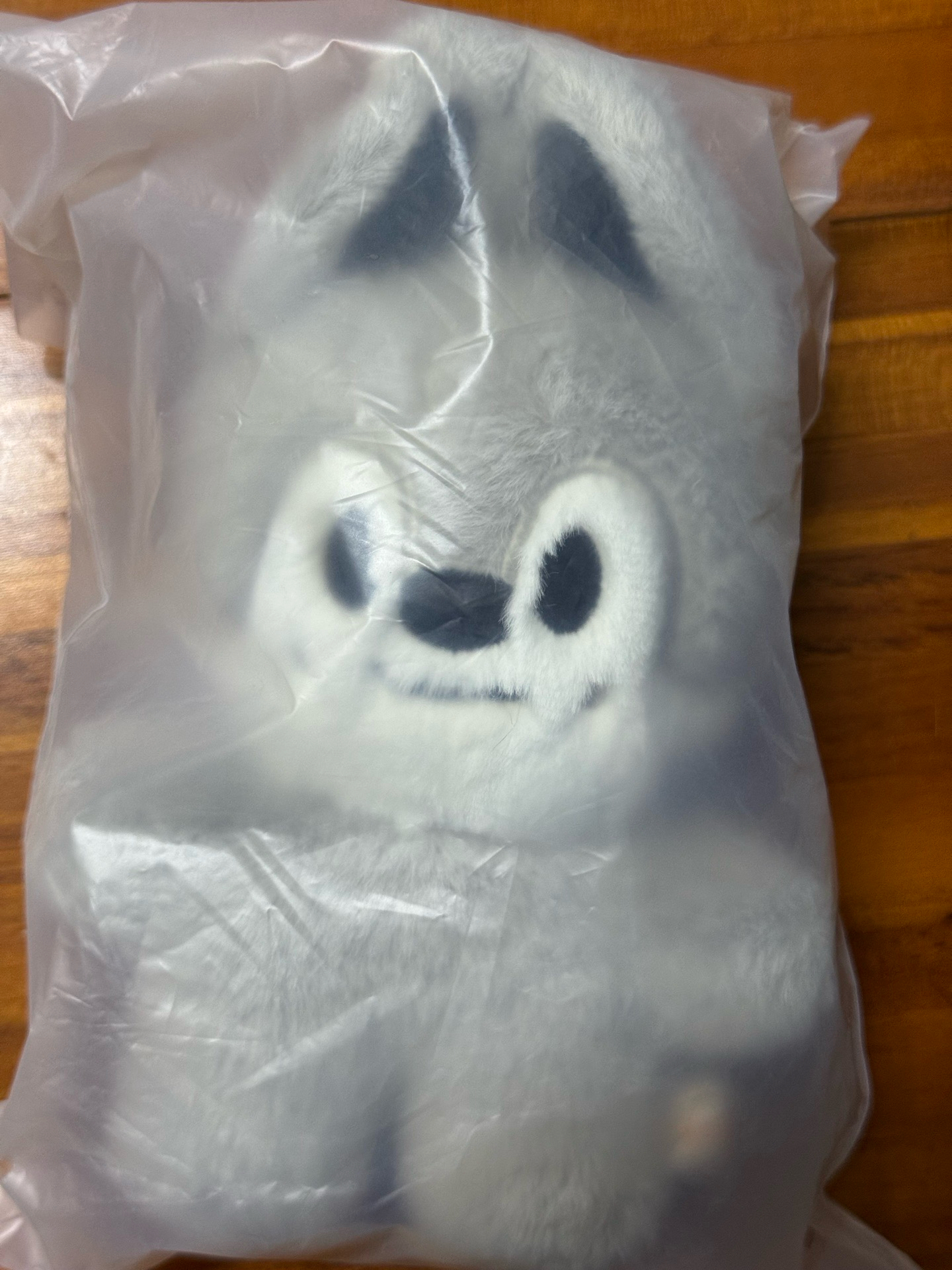 燦 首爾安可快閃 站立娃