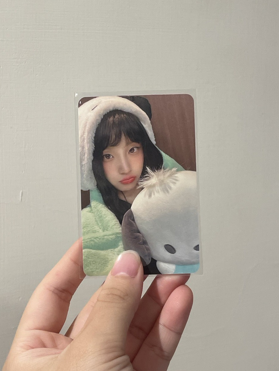 帕恰狗琪 畫面裡有三隻狗