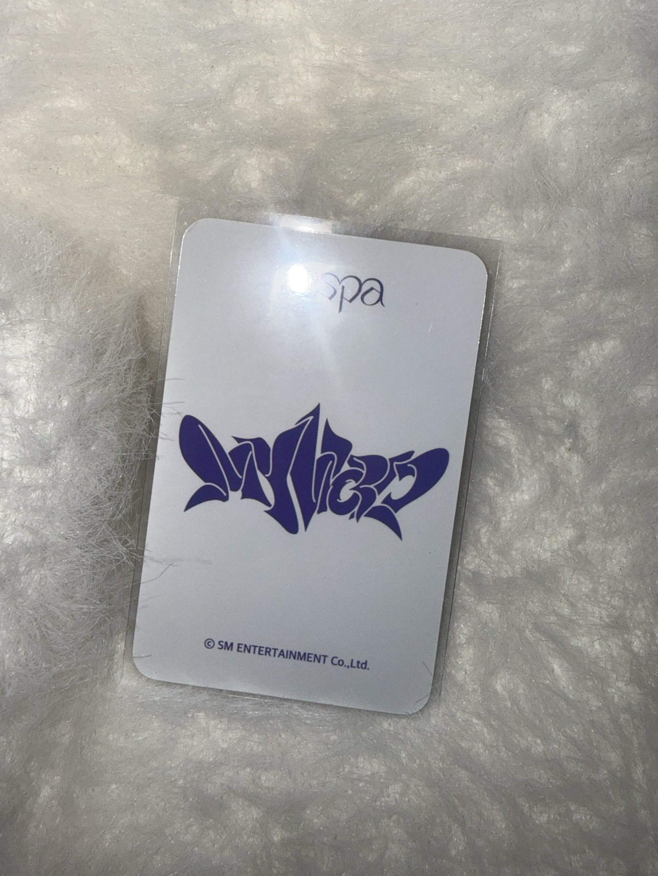 sw預售卡 泰蘭德柚