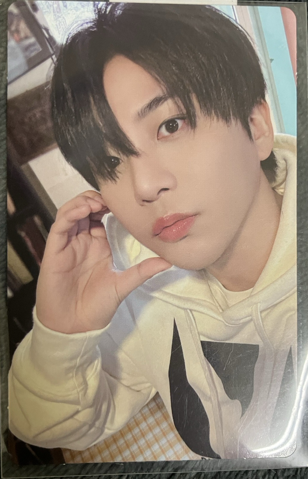 崔鍾浩小熊小盤