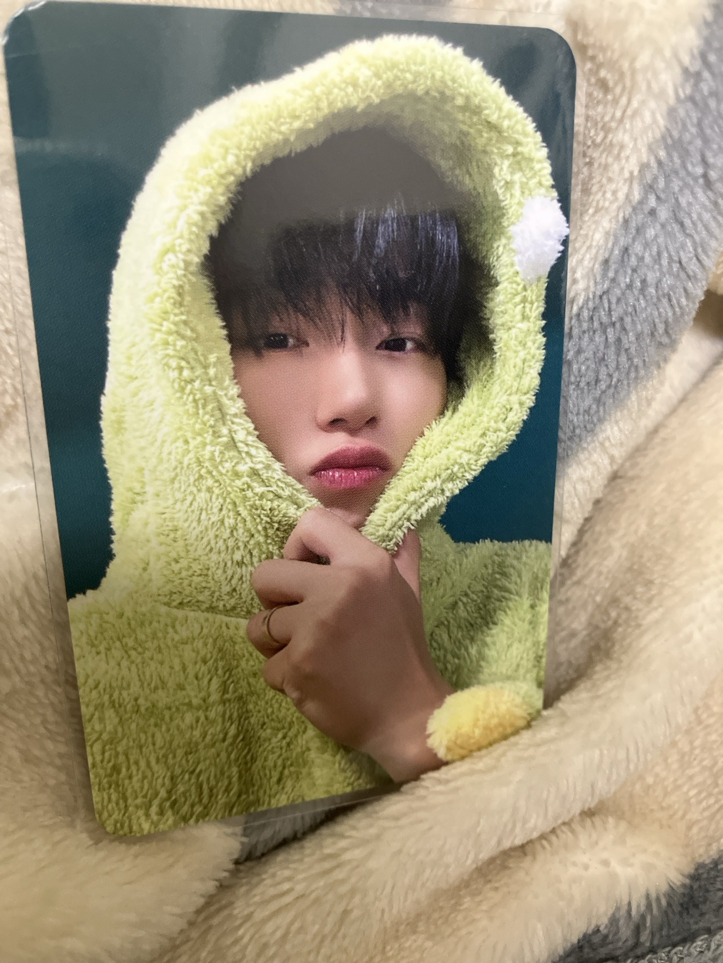 呆呢搜兒崔傘咪🦖