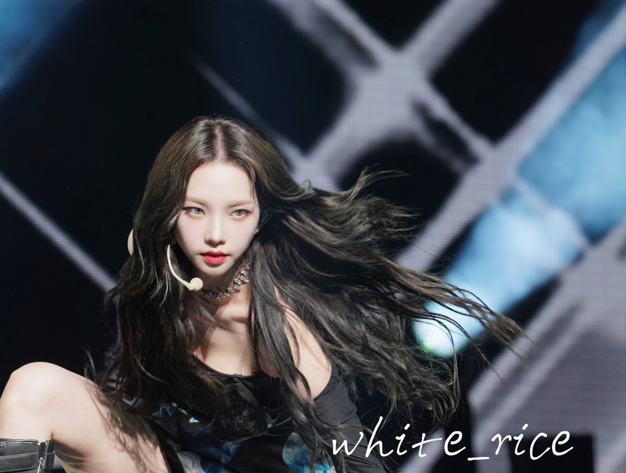 養貓大師（暫停出貨中 下單看簡介）