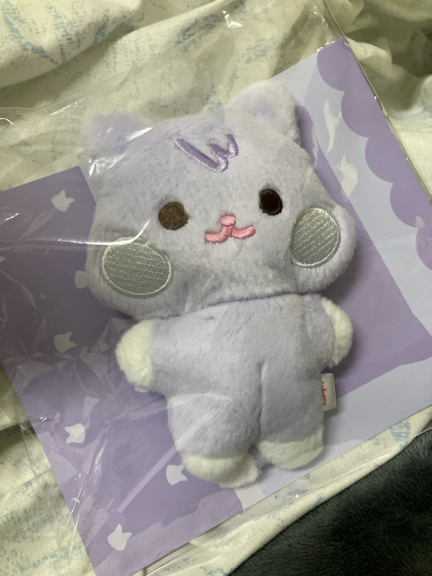 肥嫩呆萌的傘德豆豆眼娃