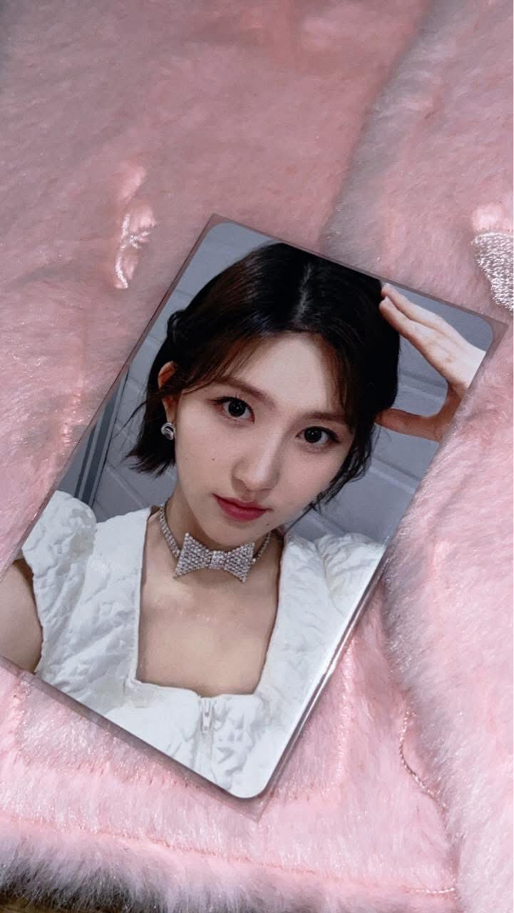 玉桂狗特典秋天