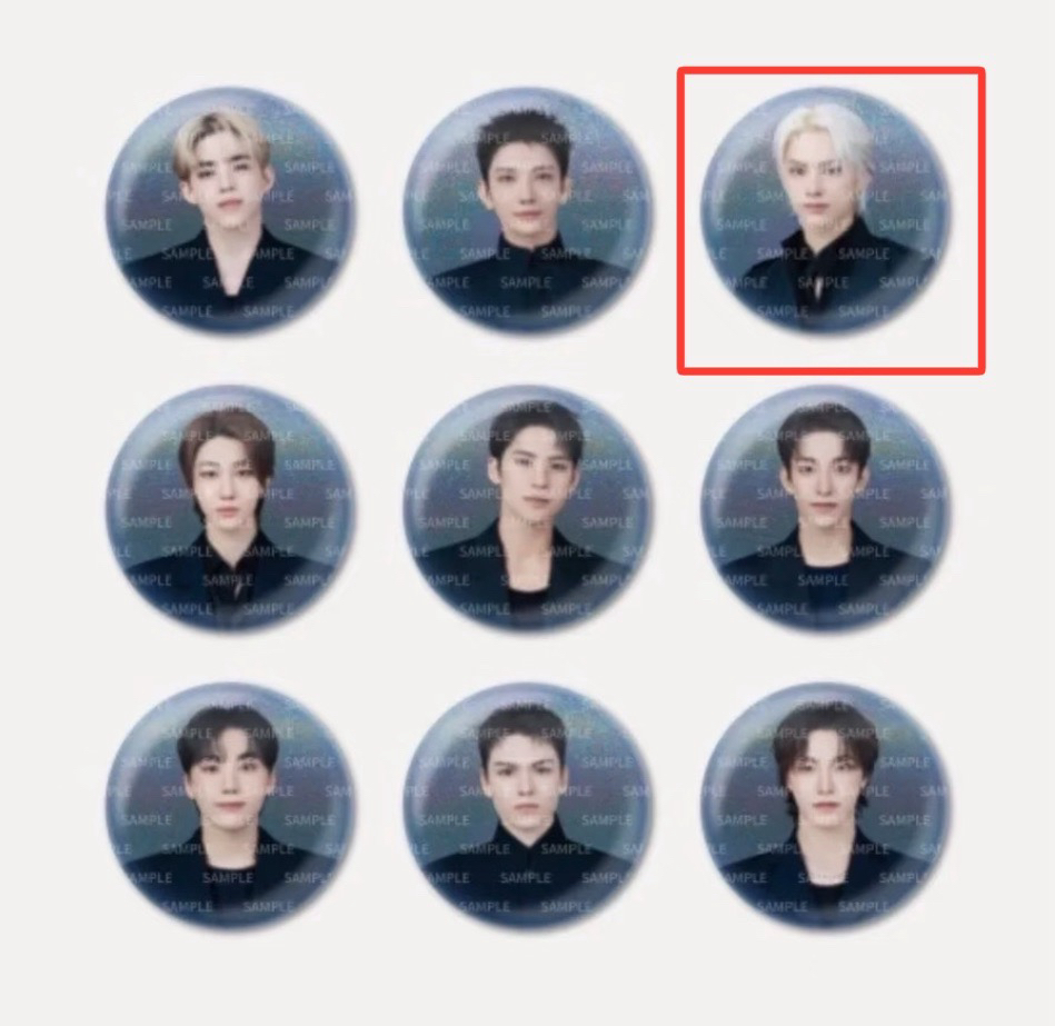 HOME徽章+日巡俊徽章