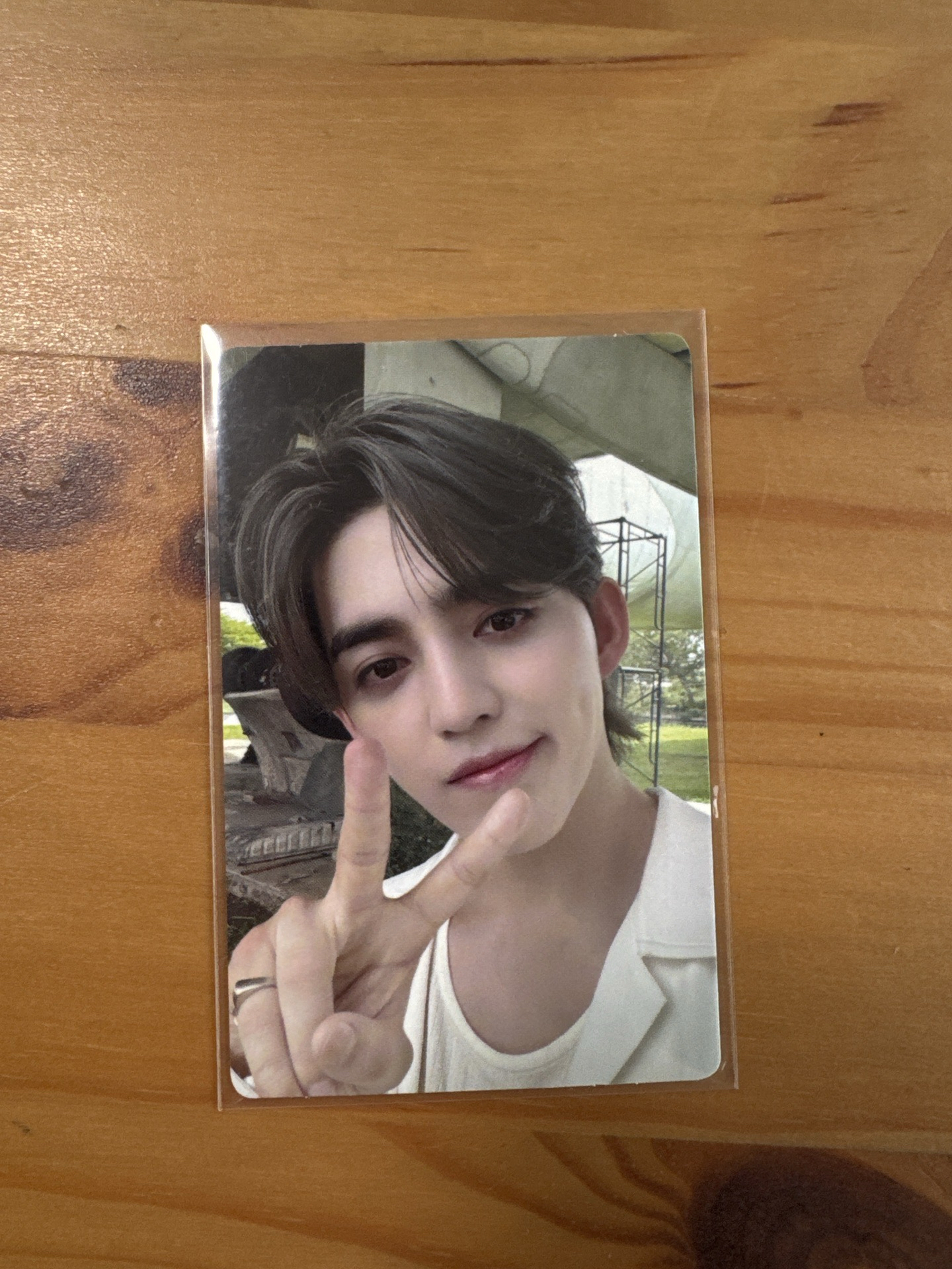 mini12 哲（含專）