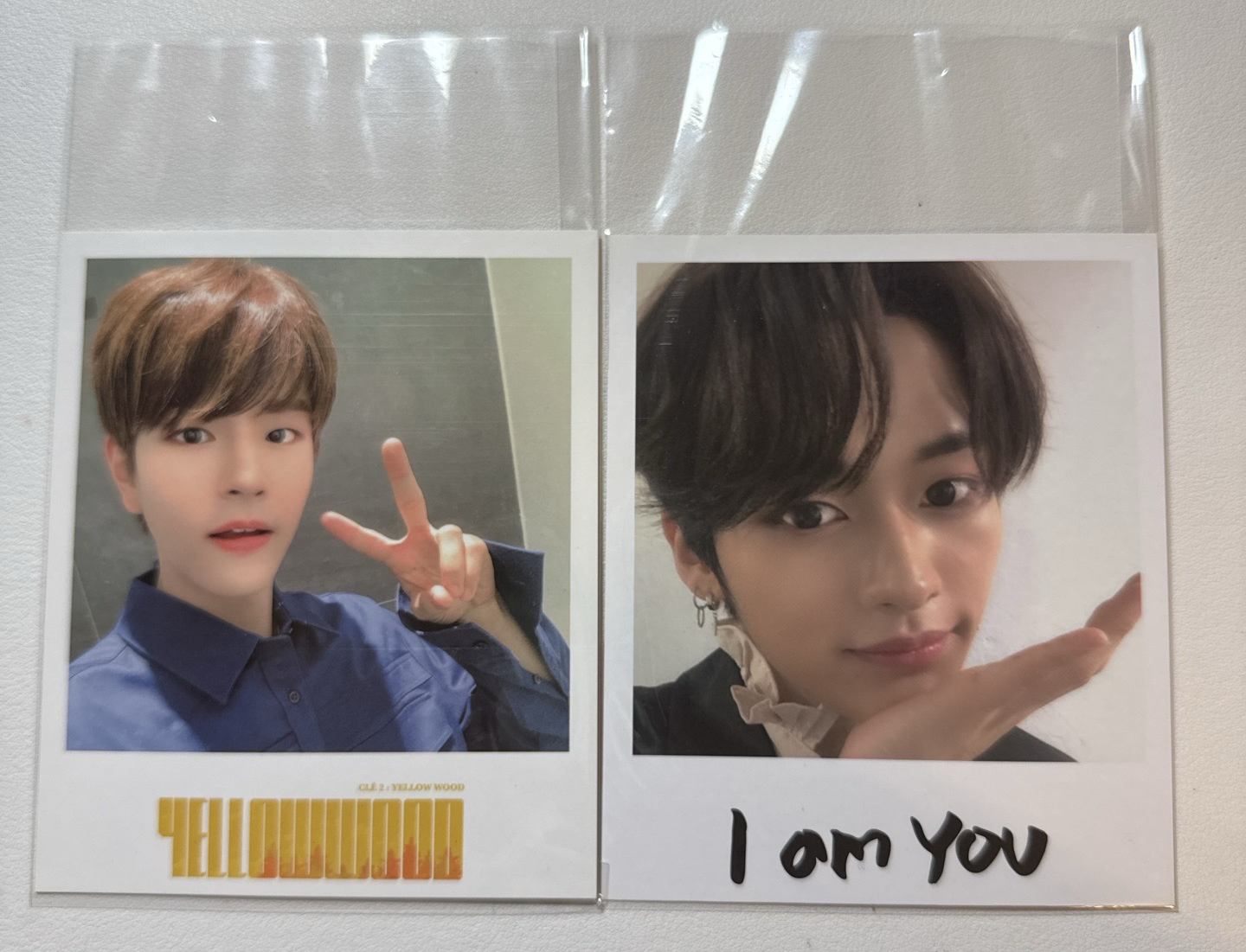 台壓拍立得 中文卡背