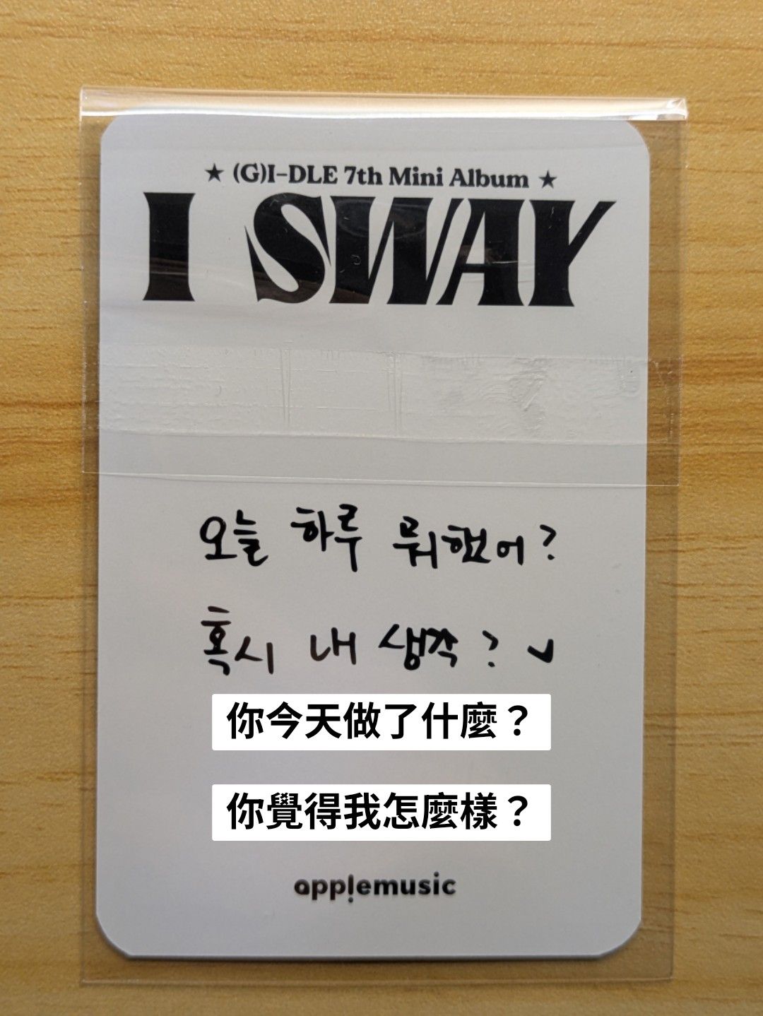 AM1.0 LD帕恰狗|琦