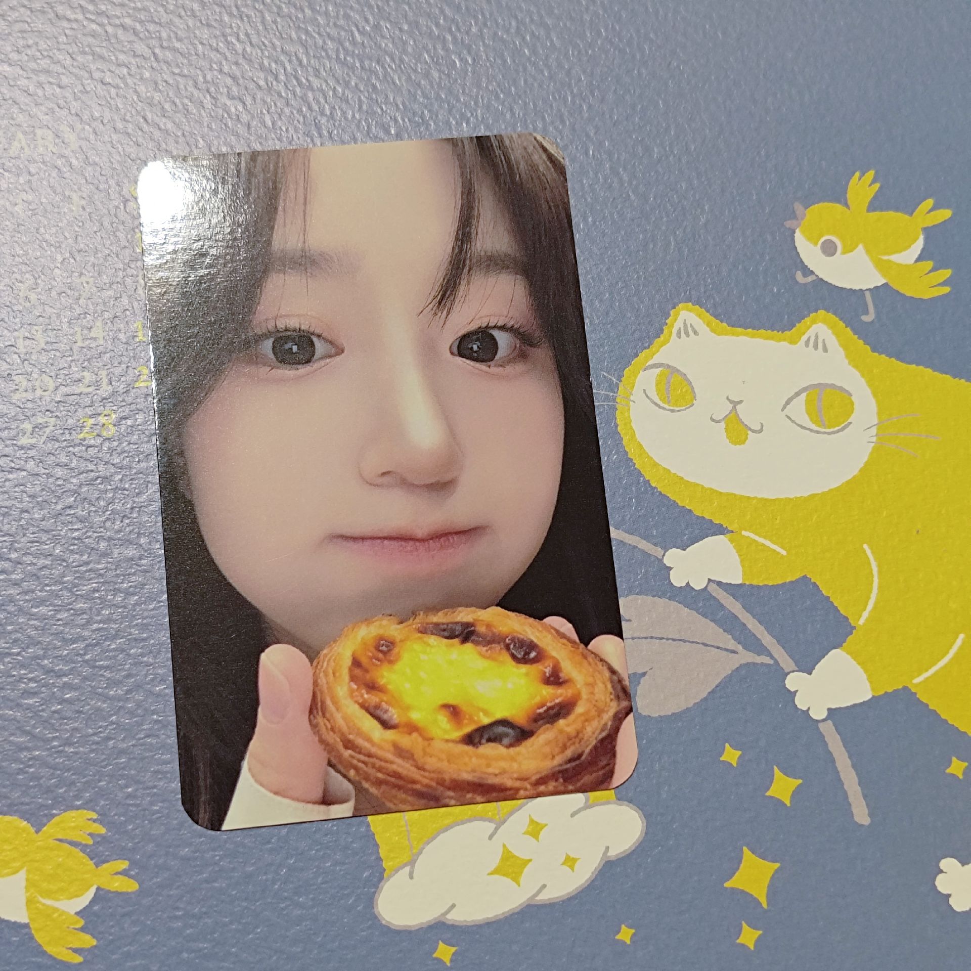 蛋塔嫄（中背/可單出）