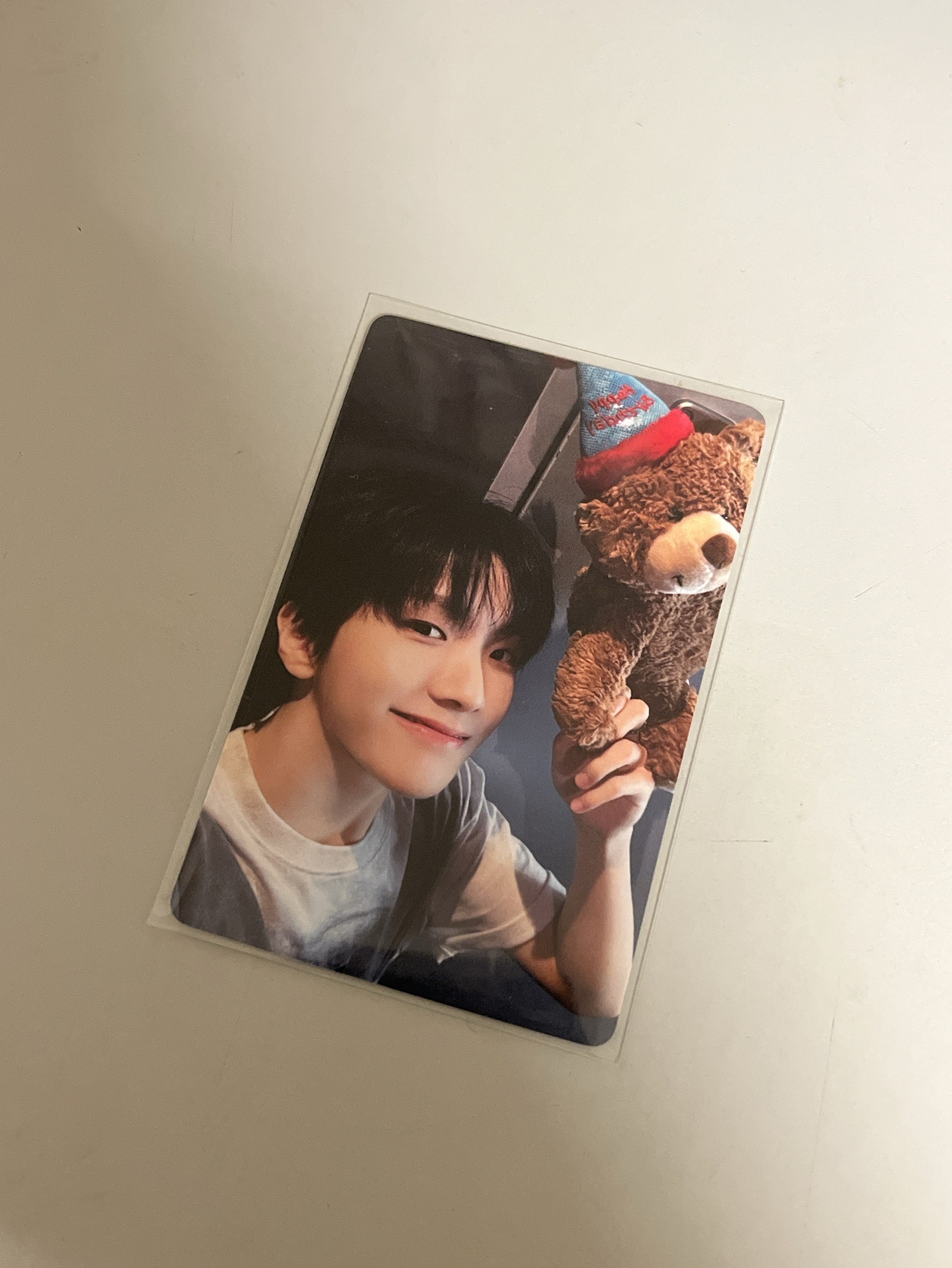 19.99一直娛 抱熊 金雲鶴