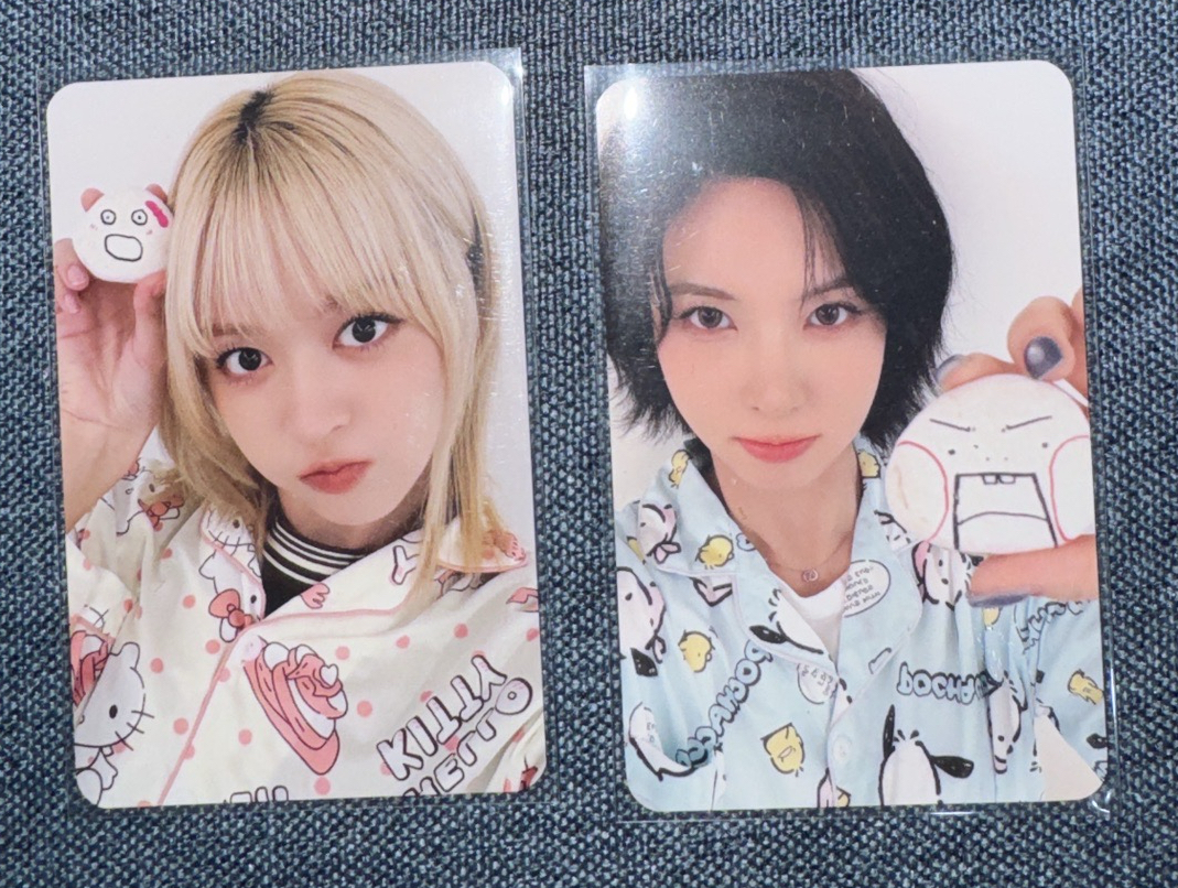 MS 6.0 寵物石 莉裴