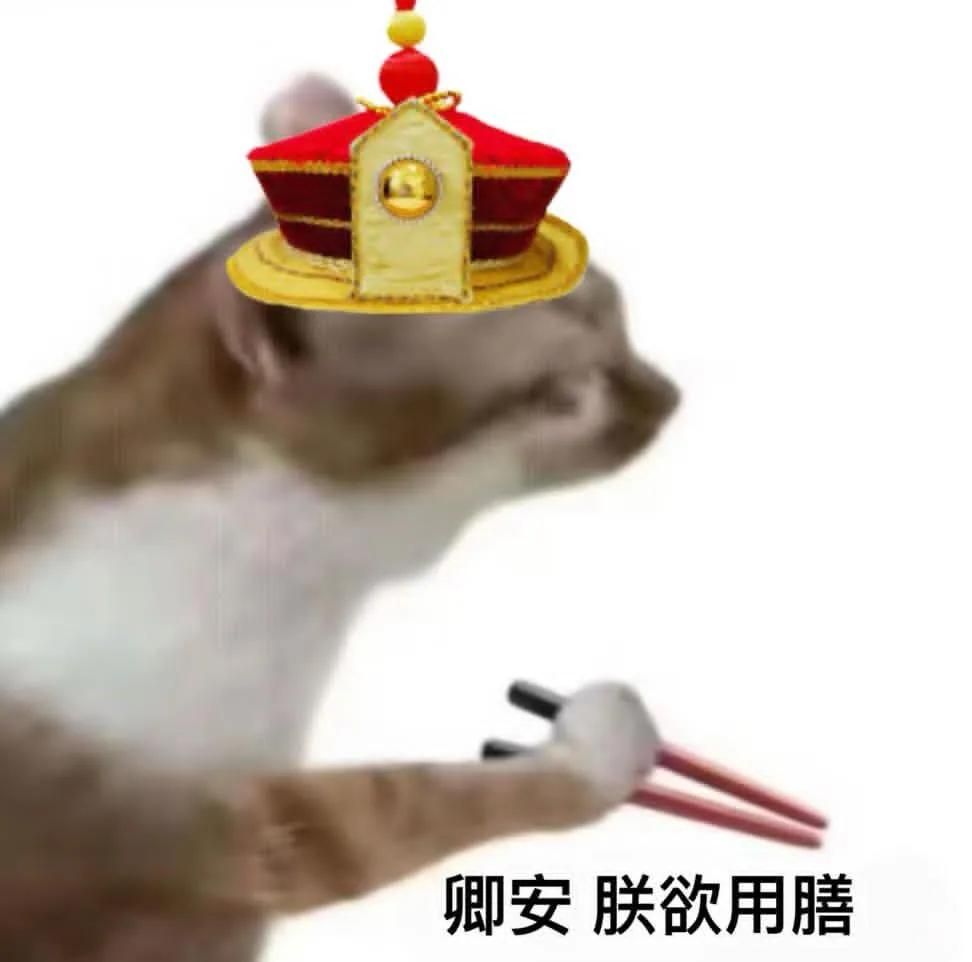 其他（補手續專用）