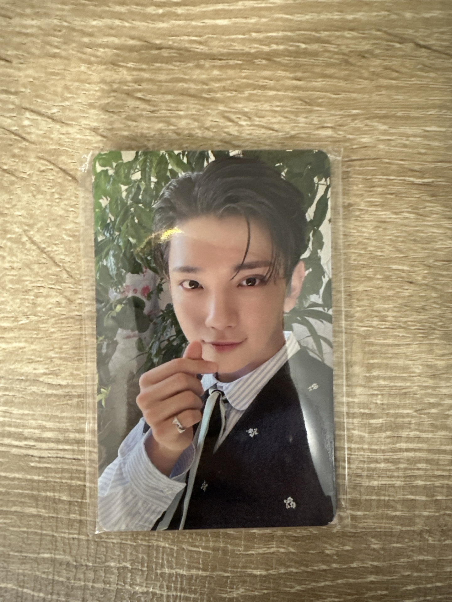 迷你12 Weverse jp 大阪 場限卡