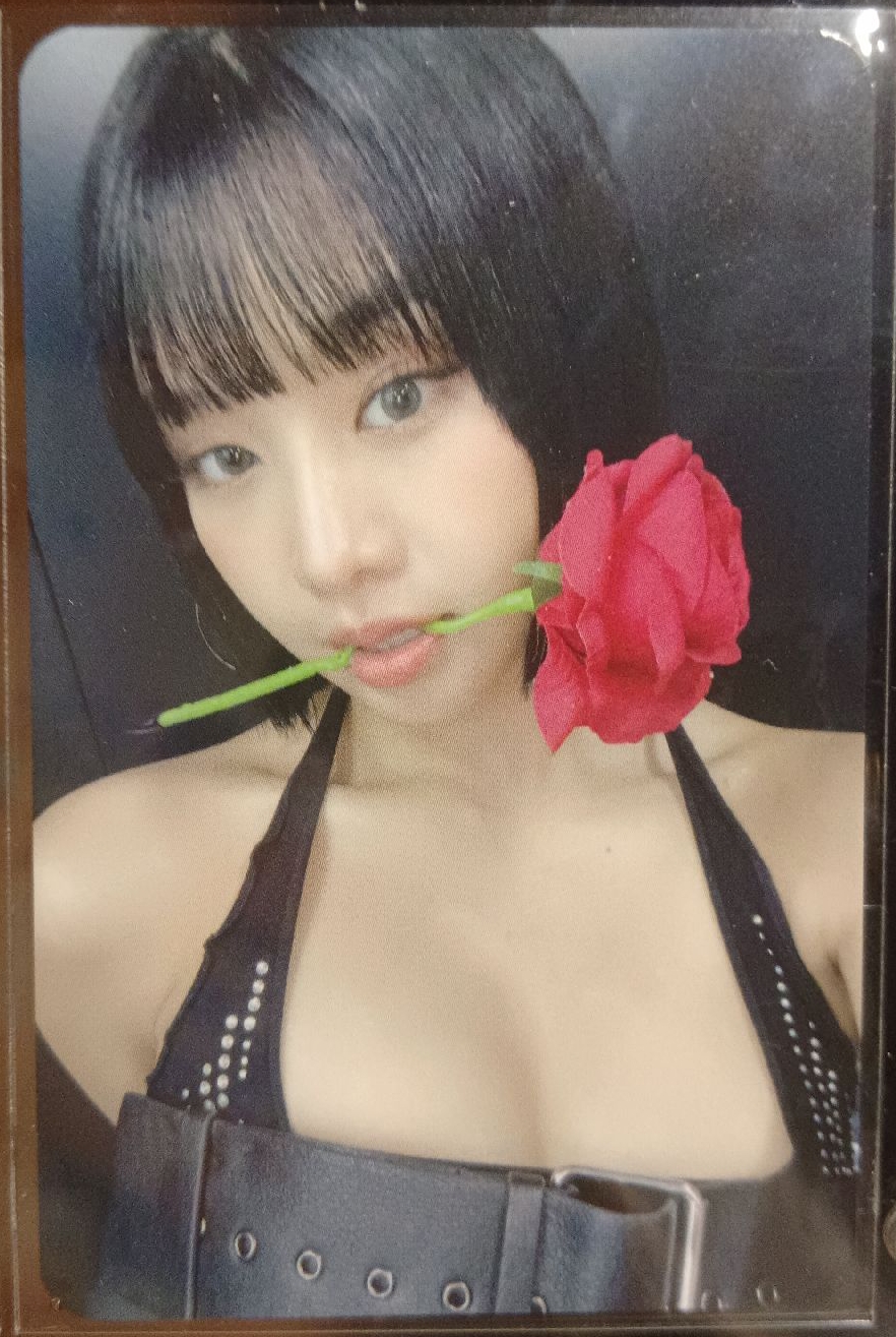 natty hello82 特典