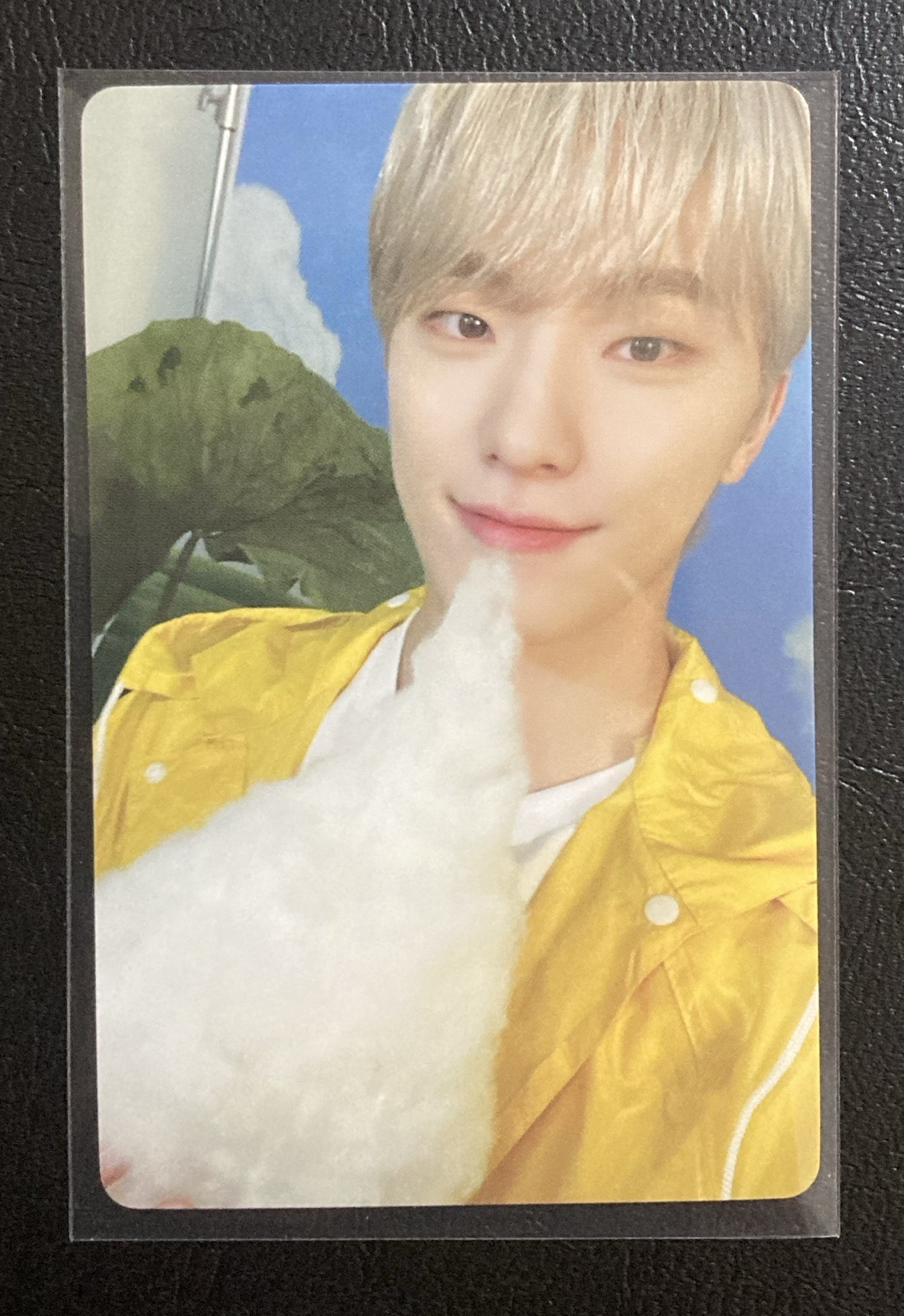 Dino 克拉盤隨機卡