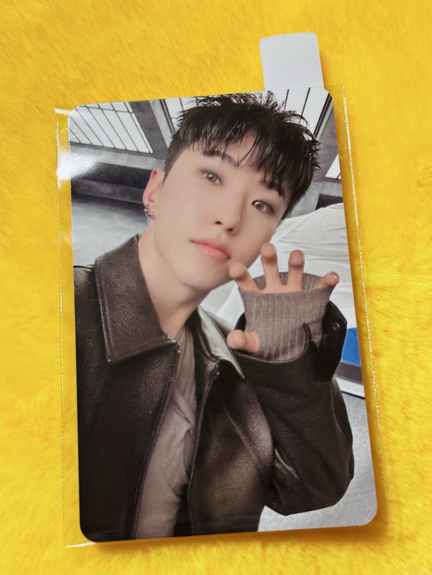 權順榮 正五BRLD2.0