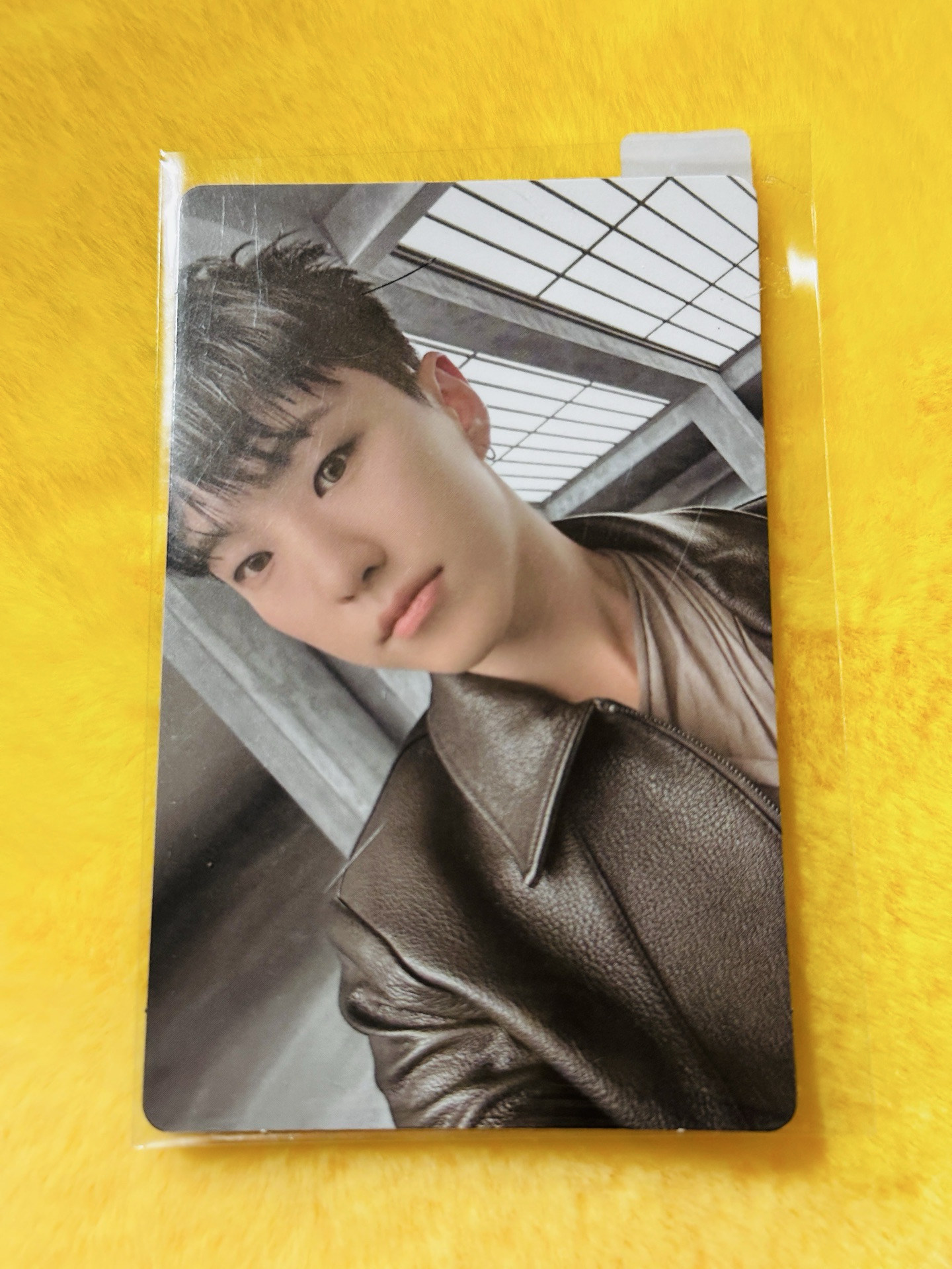 權順榮 正五WVSLD2.0