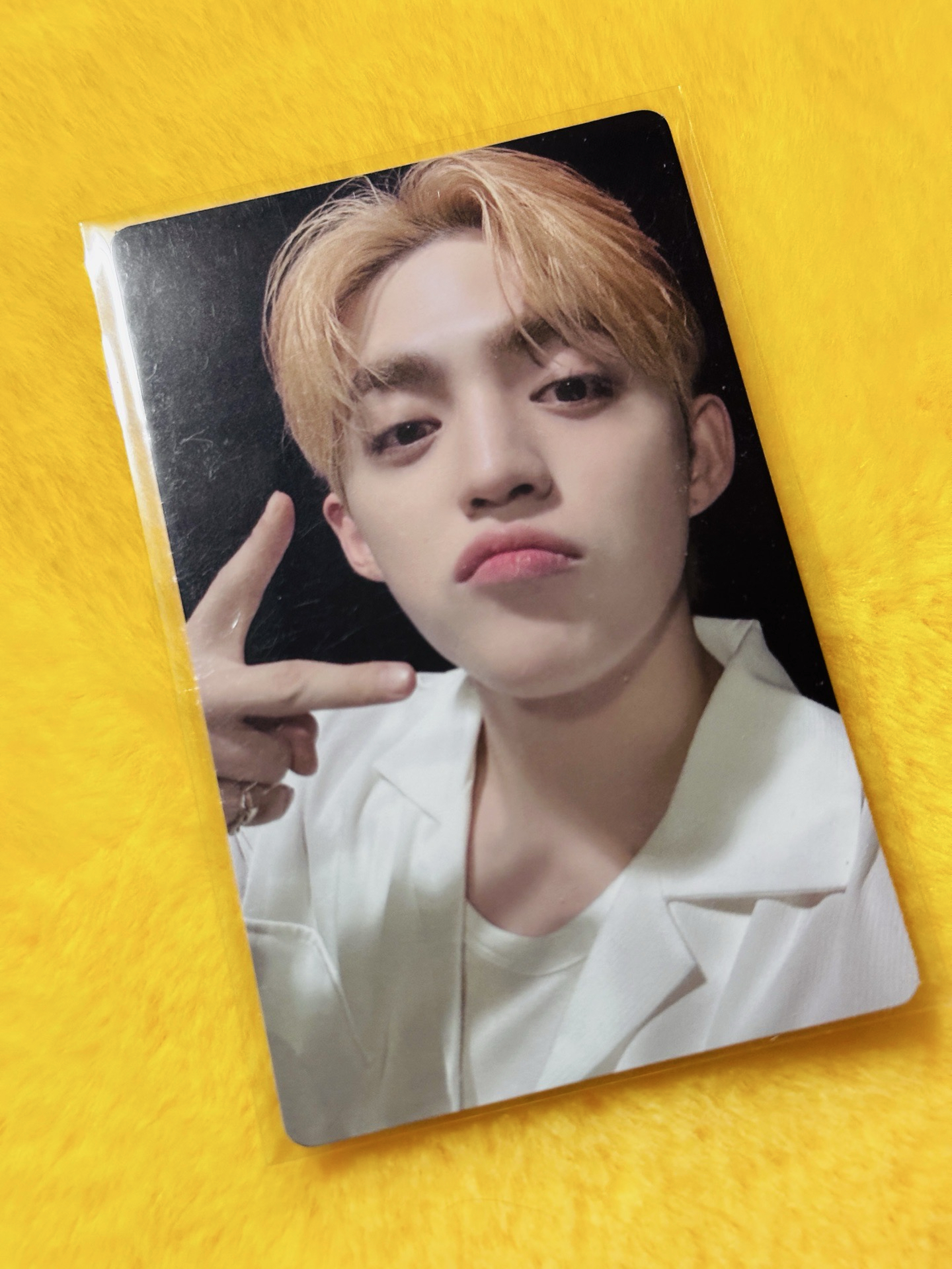 迷12 特典 預售特典