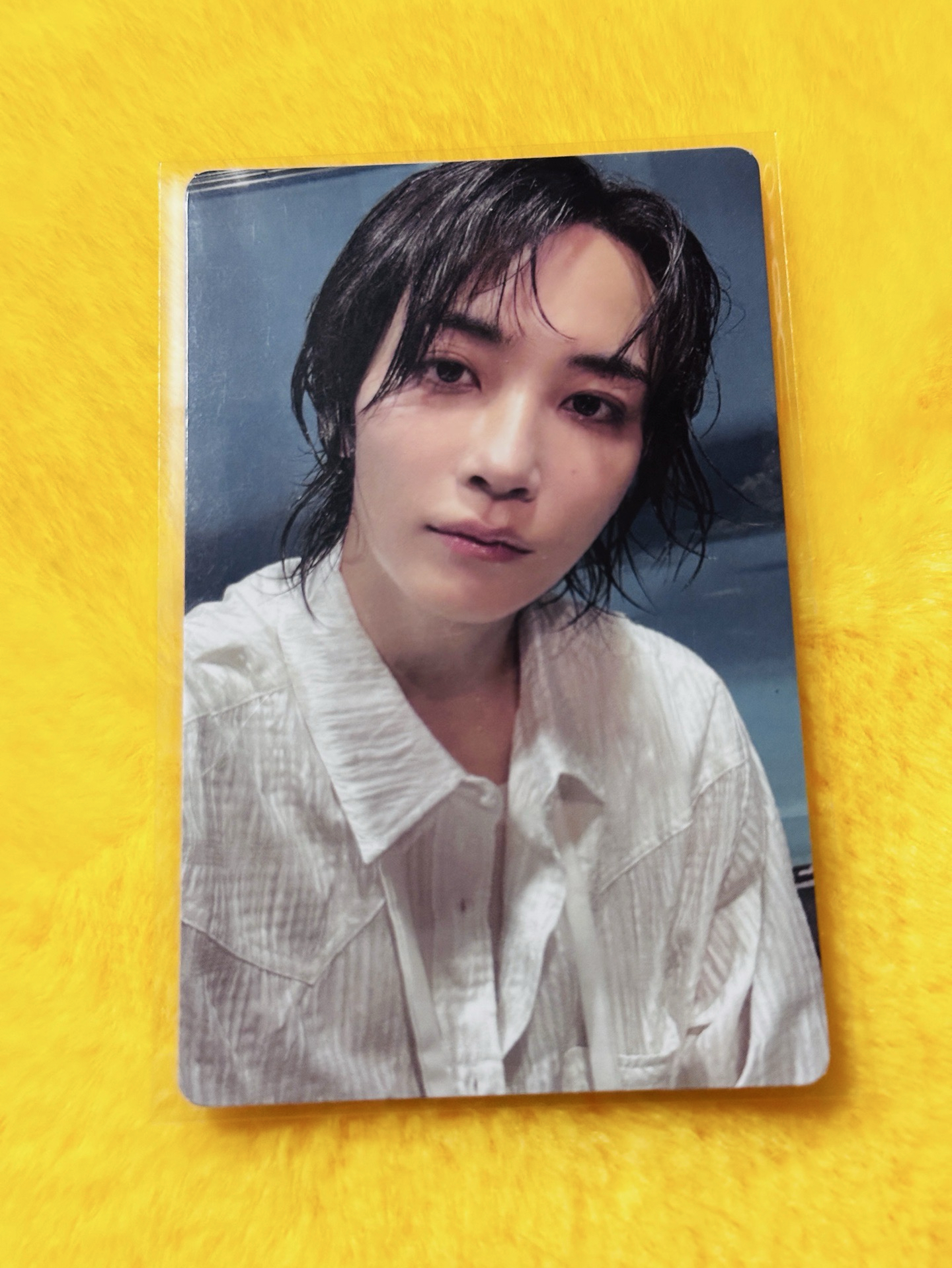 迷12 特典 預售特典