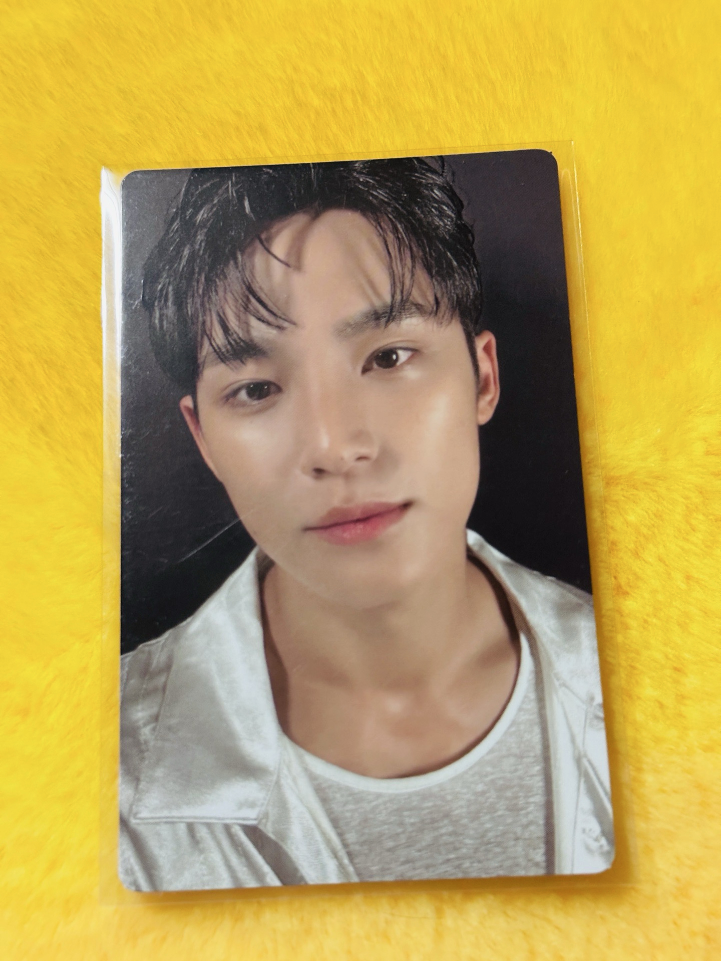 迷12 特典 預售特典