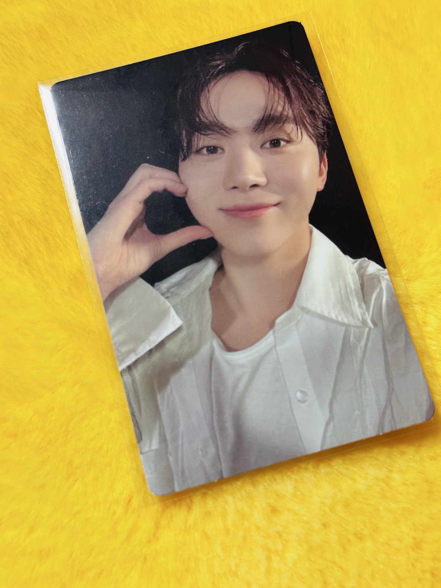 迷12 特典 預售特典