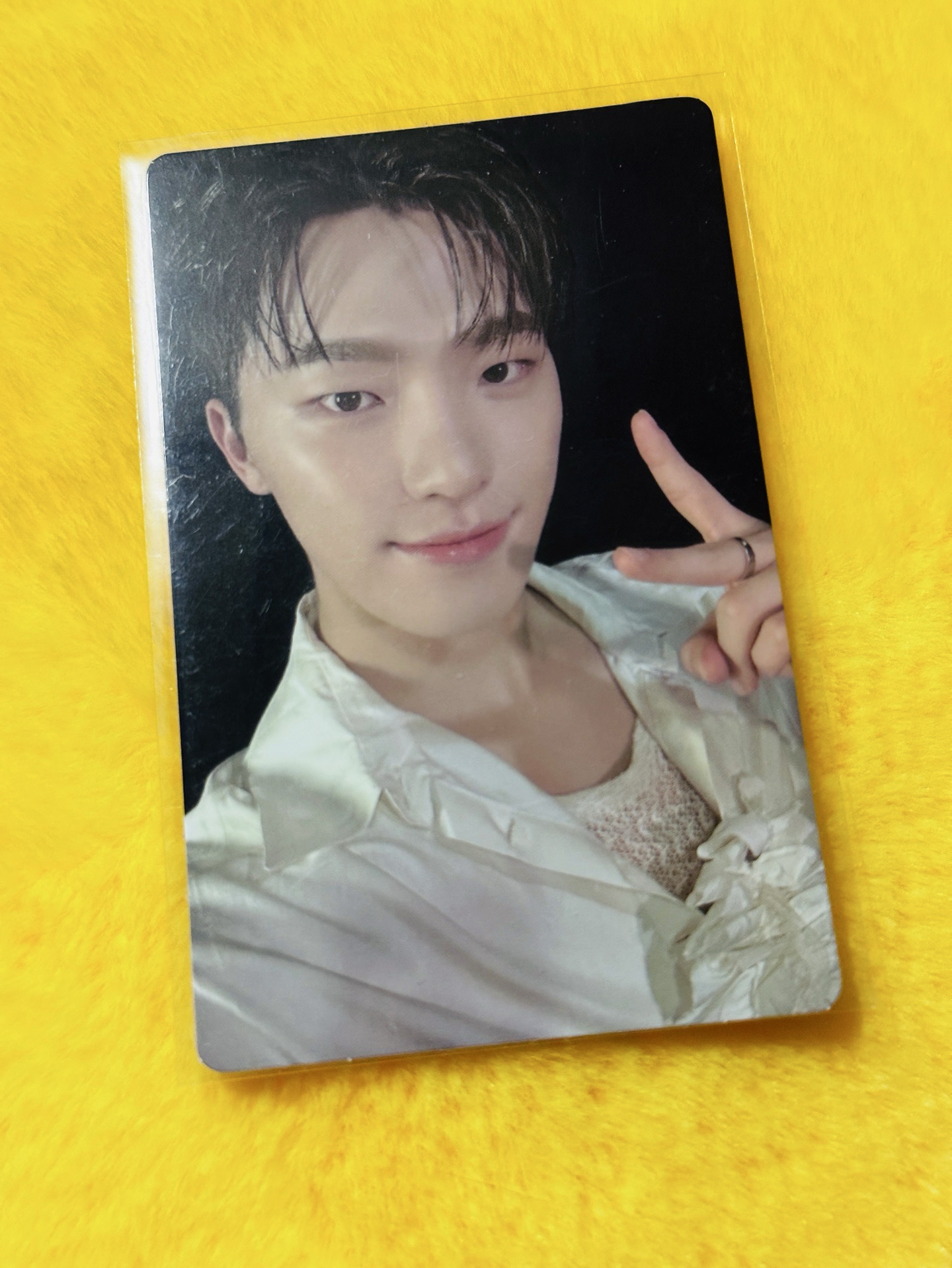 迷12 特典 預售特典