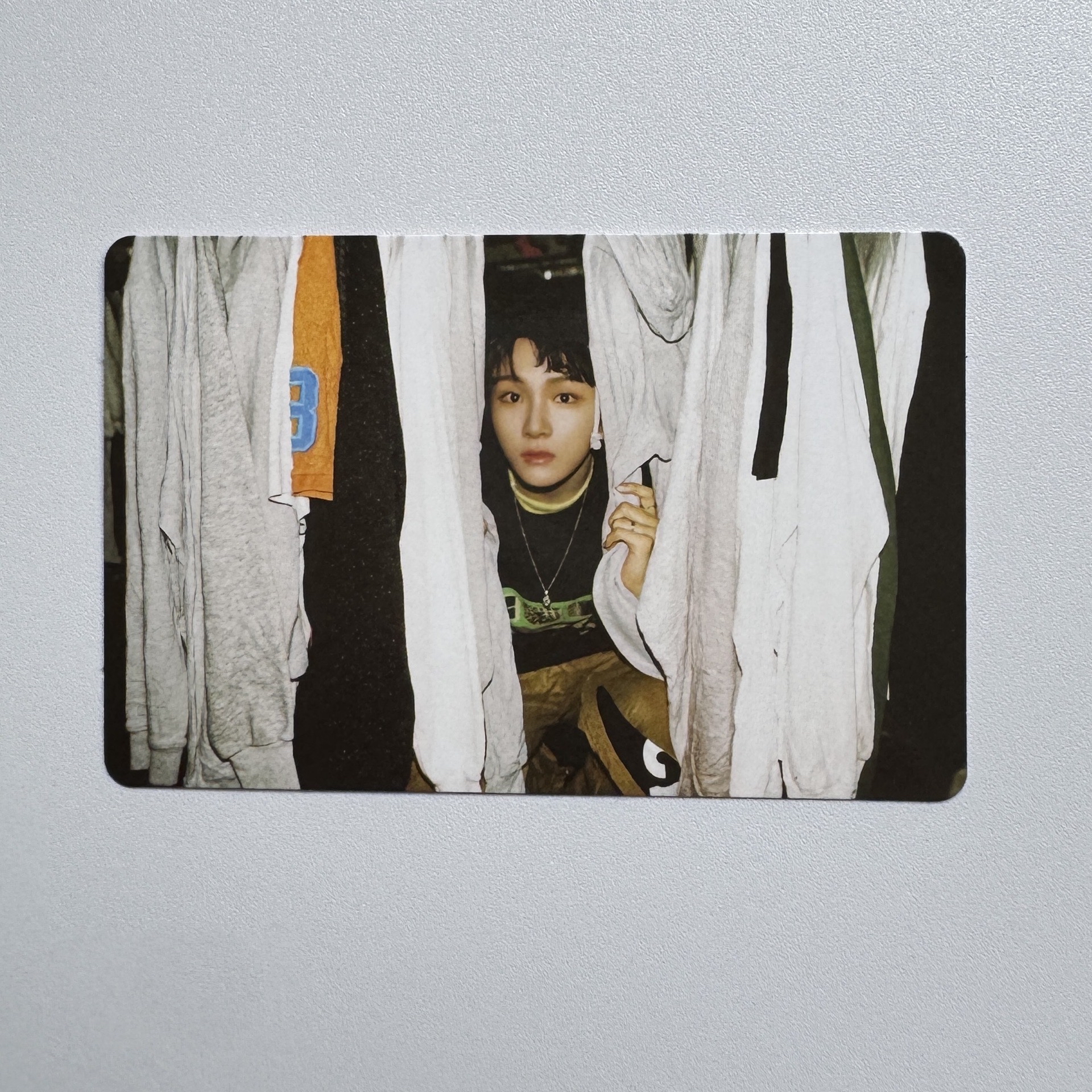 雲鶴 / 19.99 卡包卡